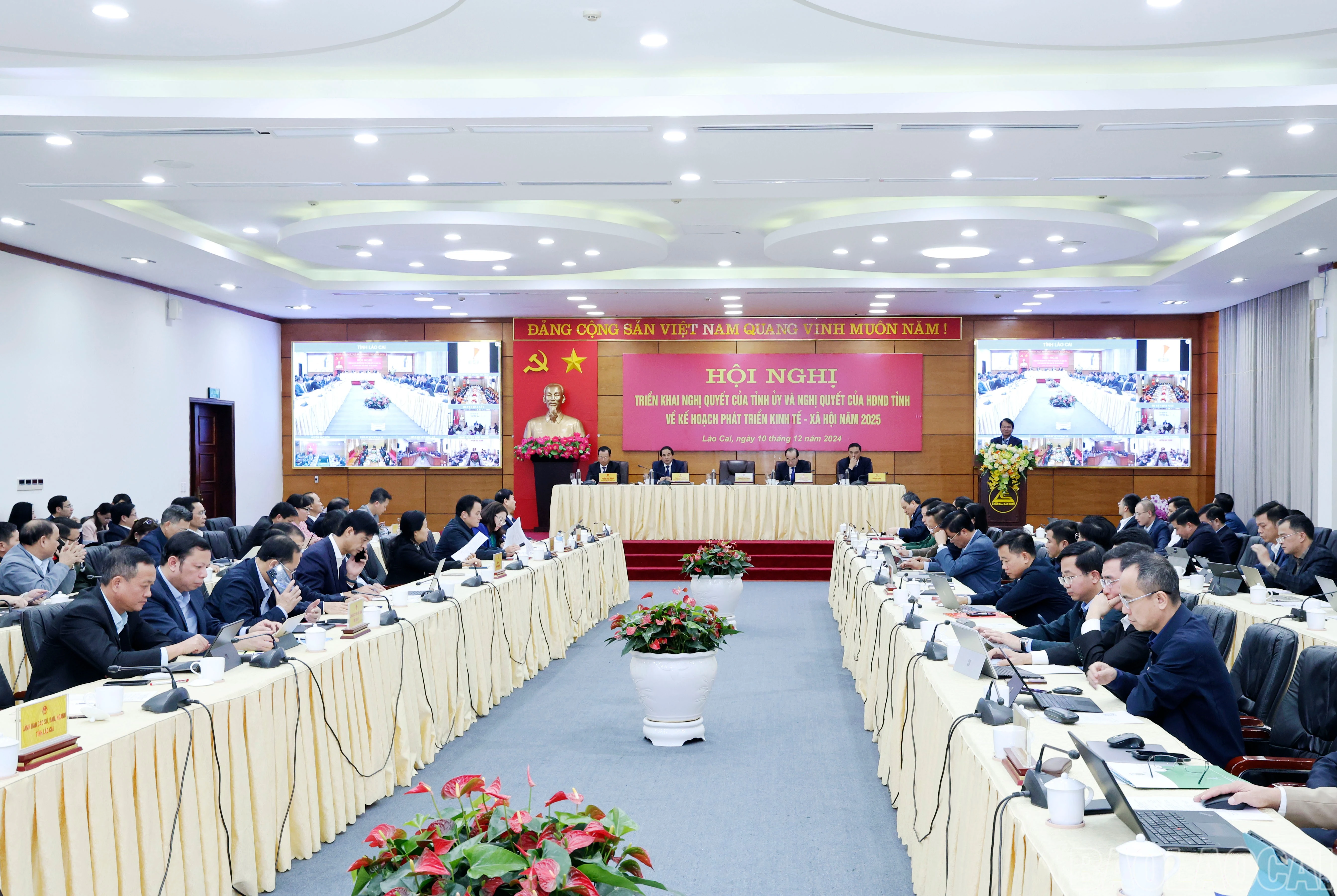 baolaocai-br_060a1574.jpg