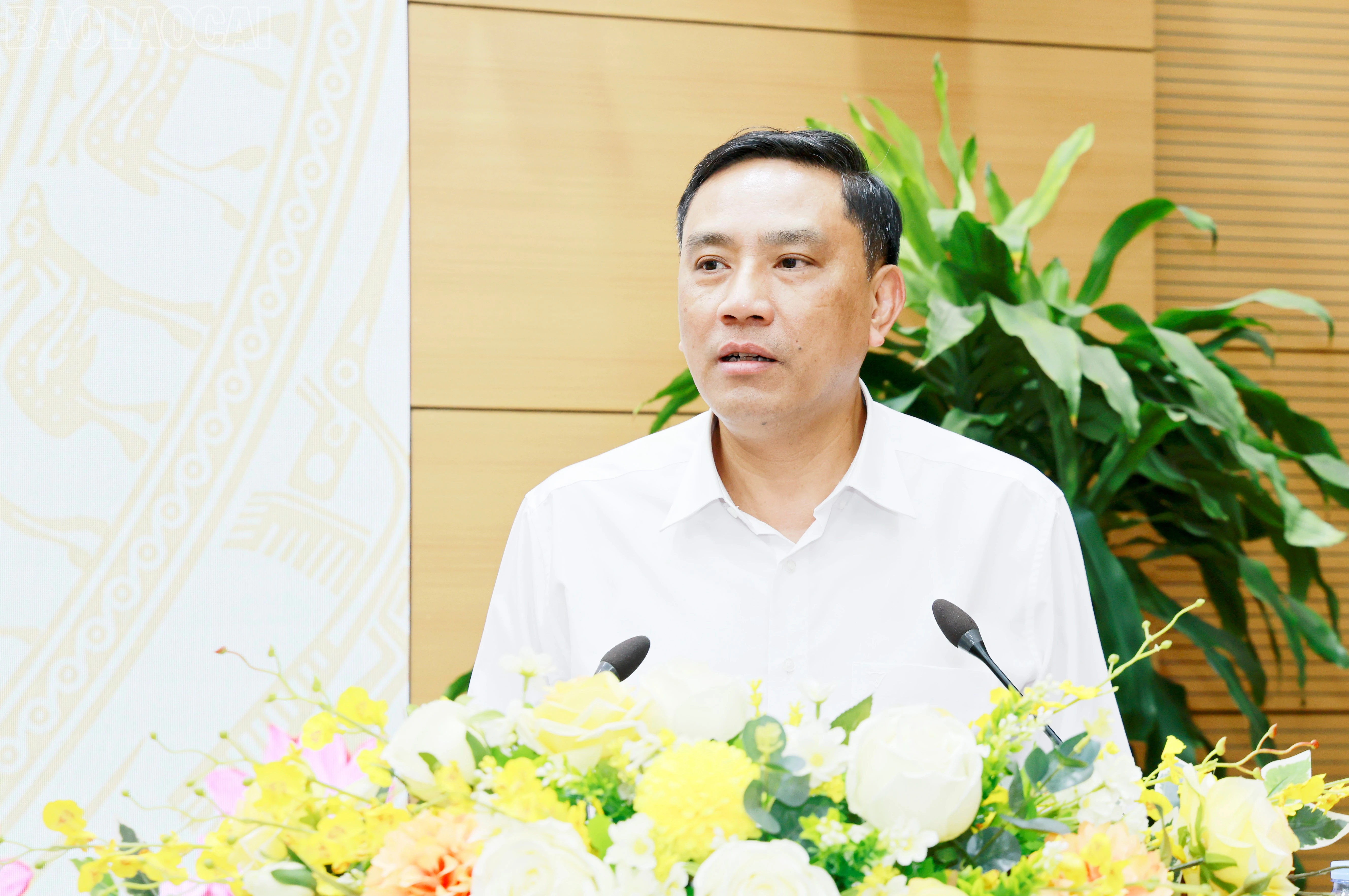 baolaocai-tl_060a0233.jpg