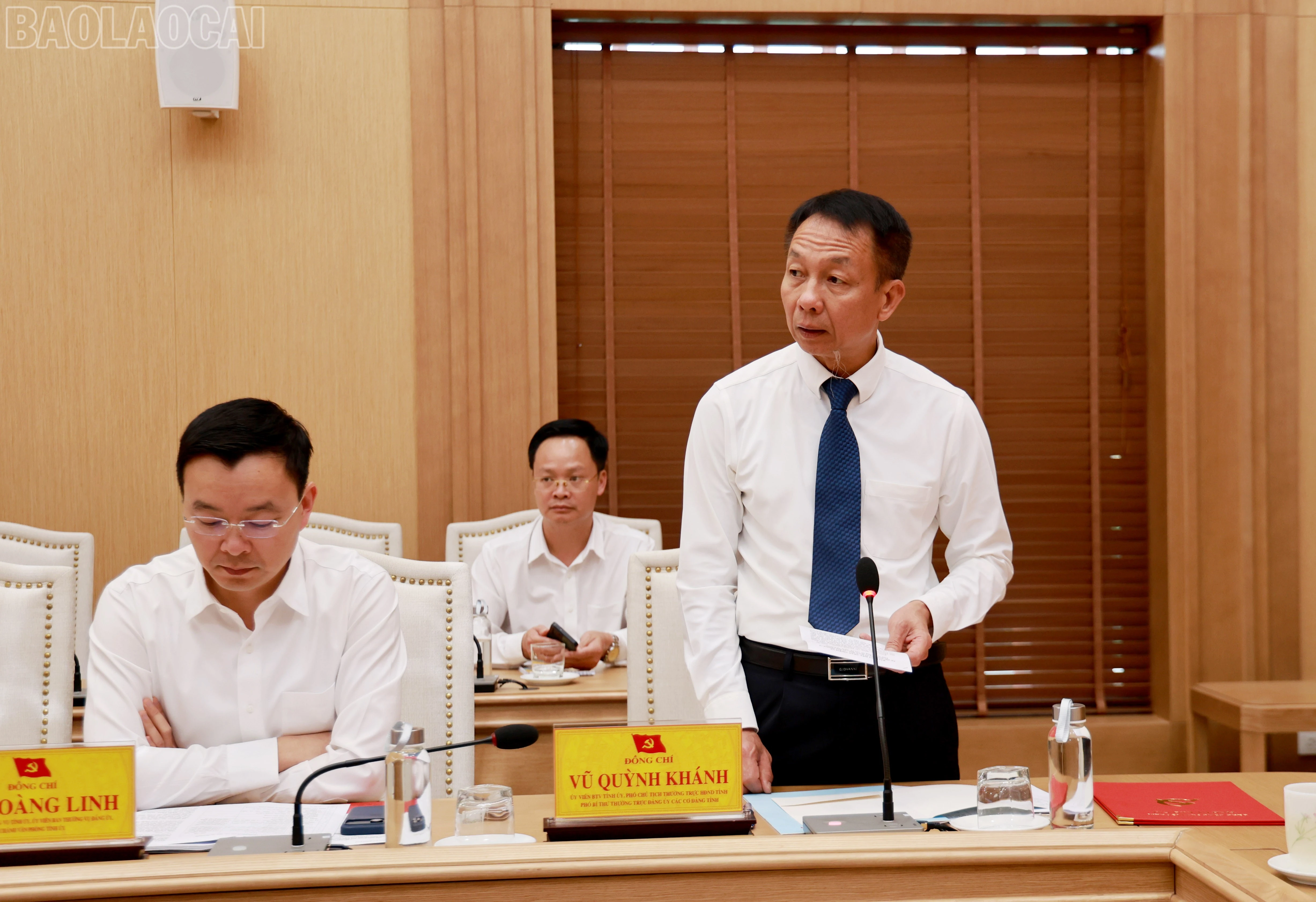 baolaocai-tl_060a1126.jpg