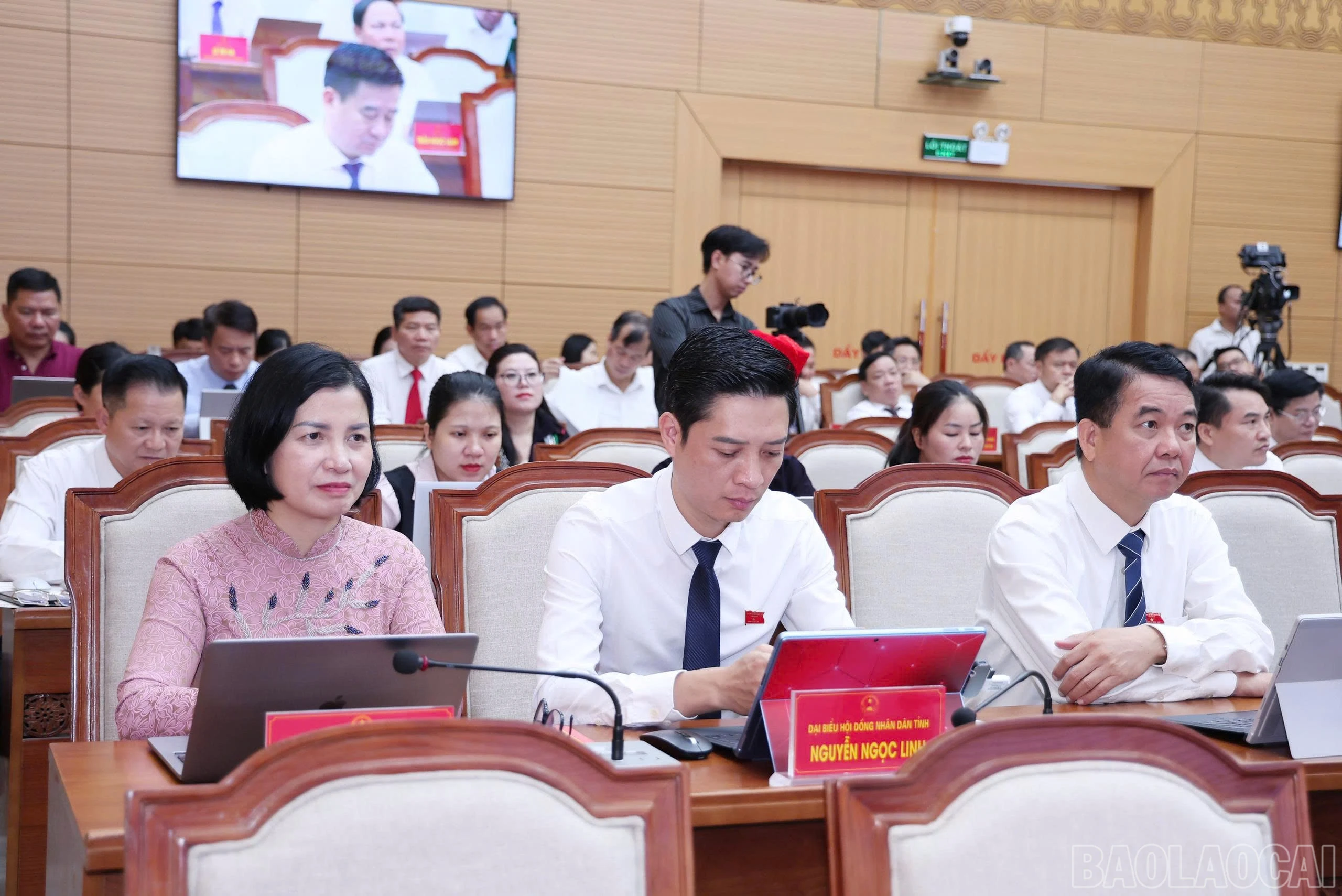 baolaocai-br_z7990885440262-e6d1809156ce1c3a6be6cfe2d3e48f1a.jpg