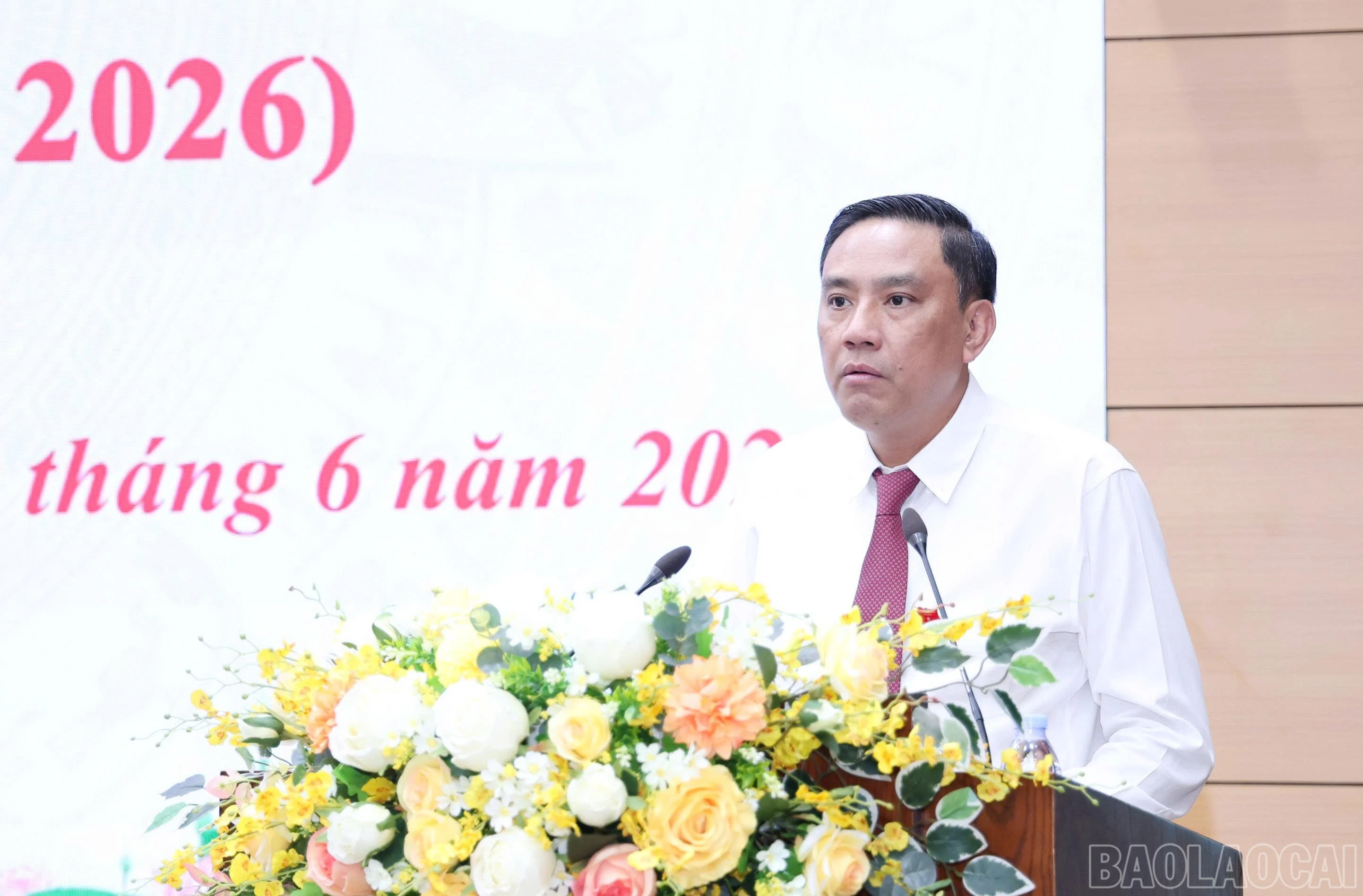 baolaocai-br_z7991252205694-85c5ab4291989ad612593b810396e12f.jpg