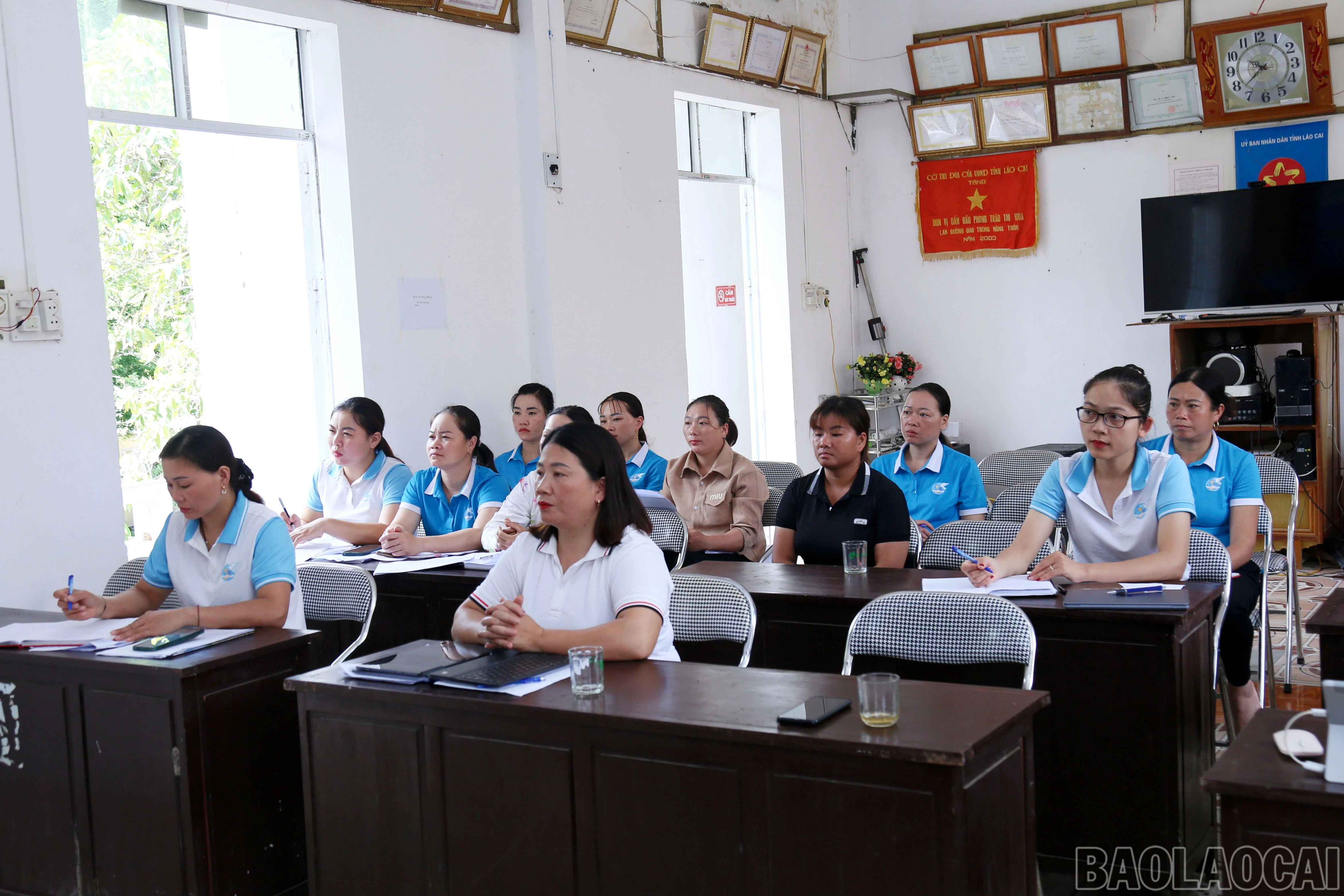 baolaocai-br_img-9803.jpg