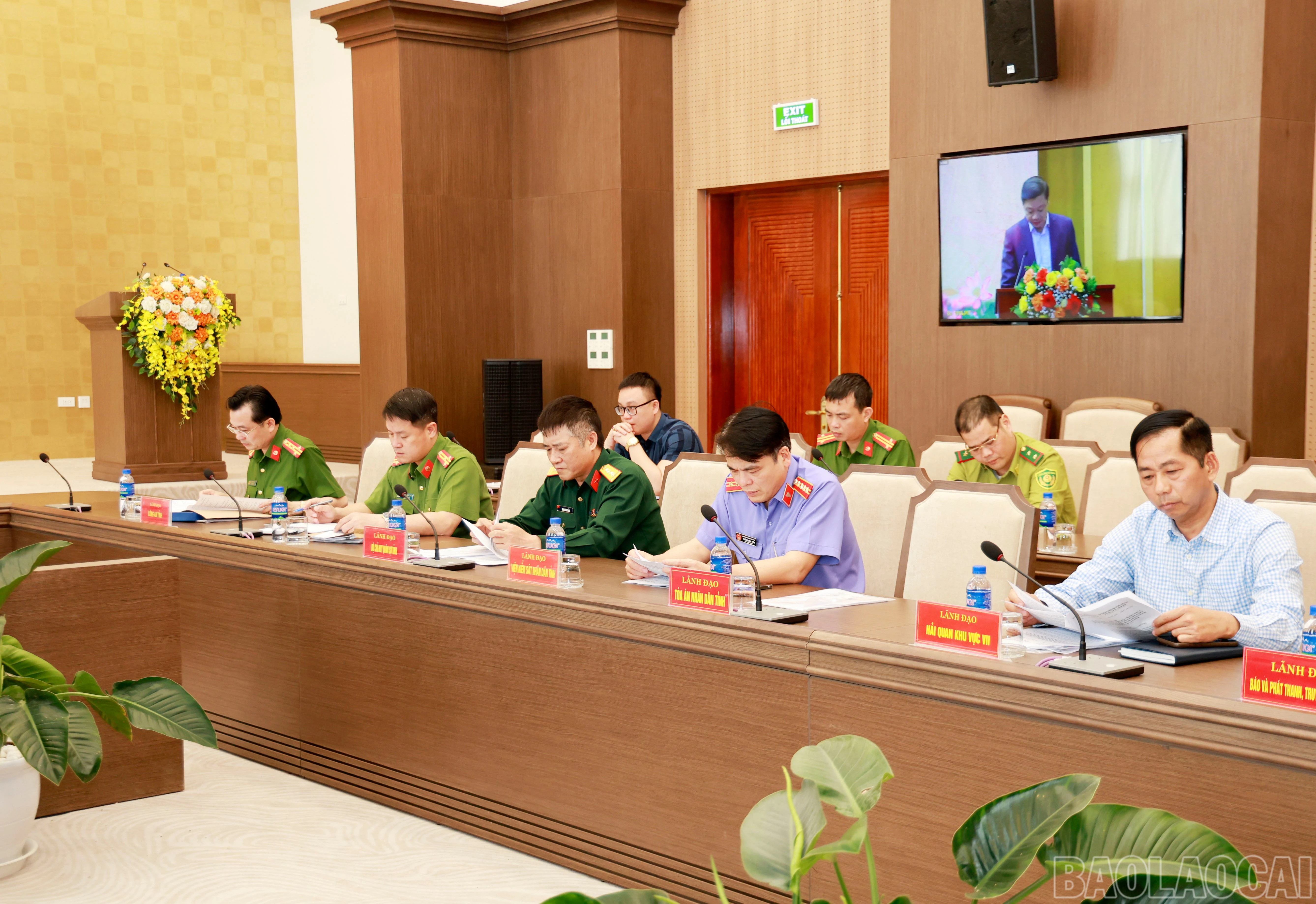 baolaocai-br_060a8226.jpg