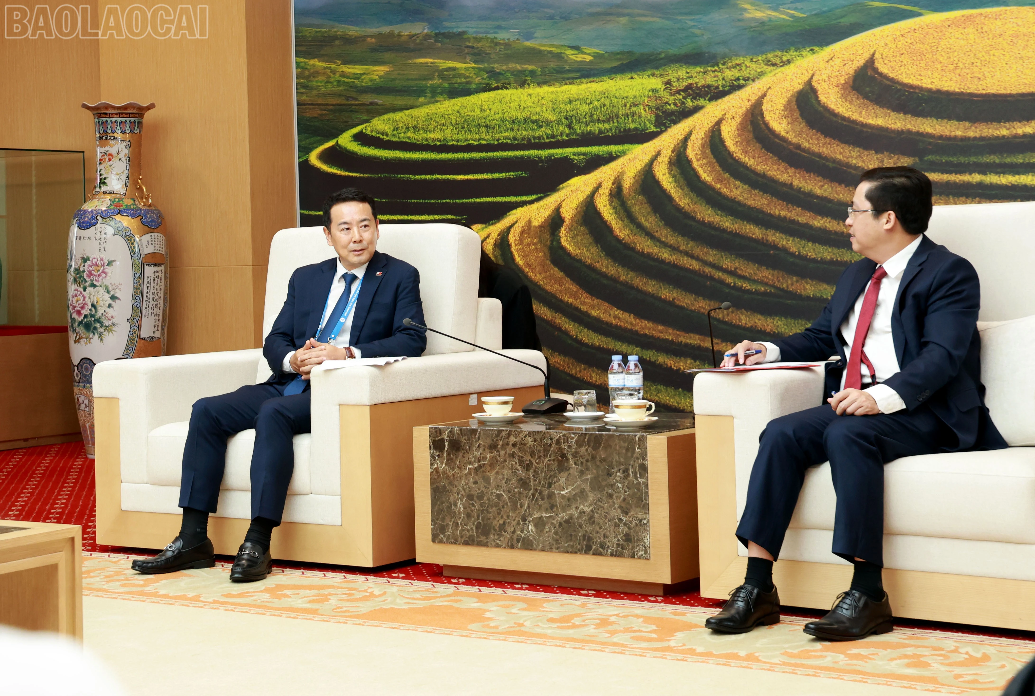 baolaocai-tl_060a9831.jpg