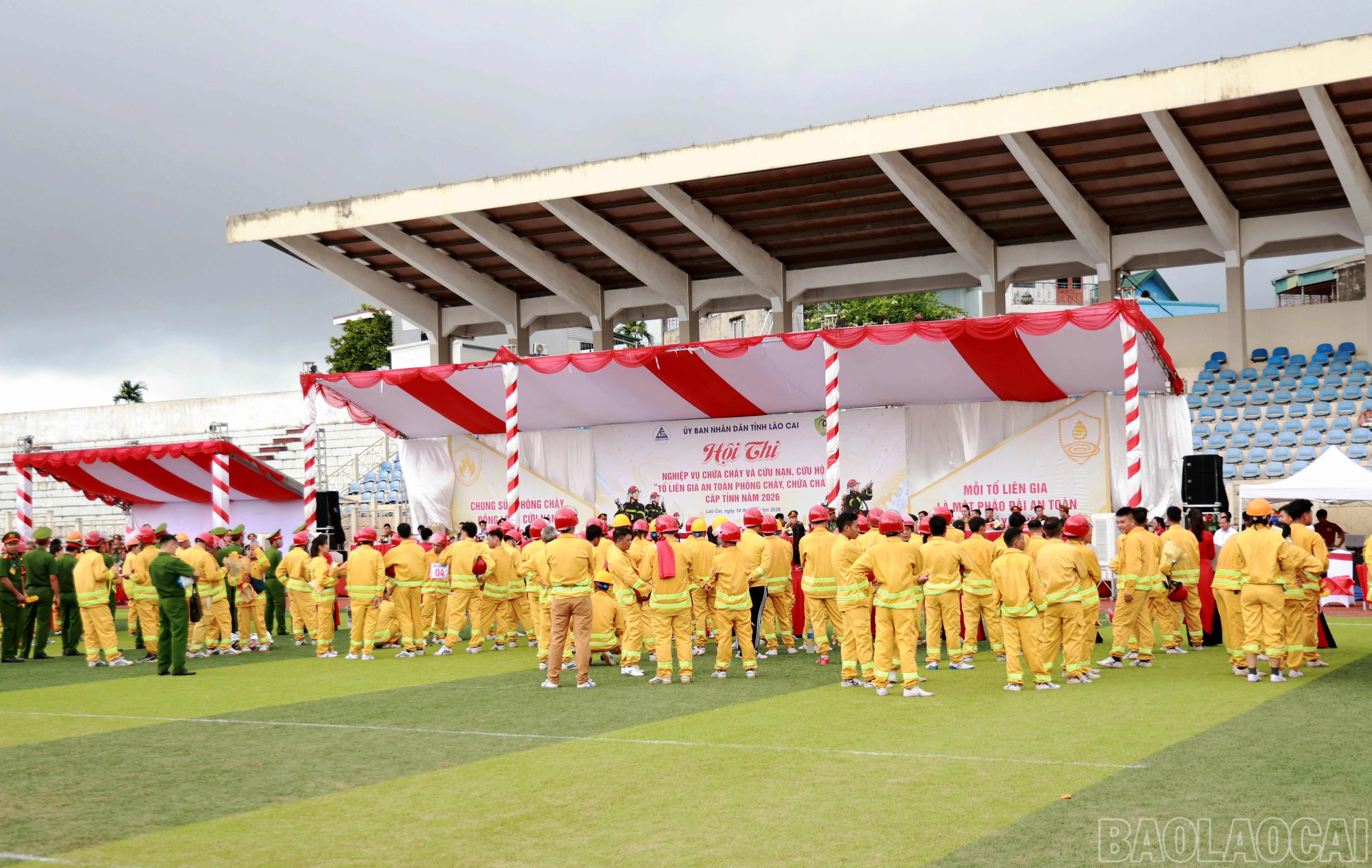 baolaocai-br_060a9696.jpg