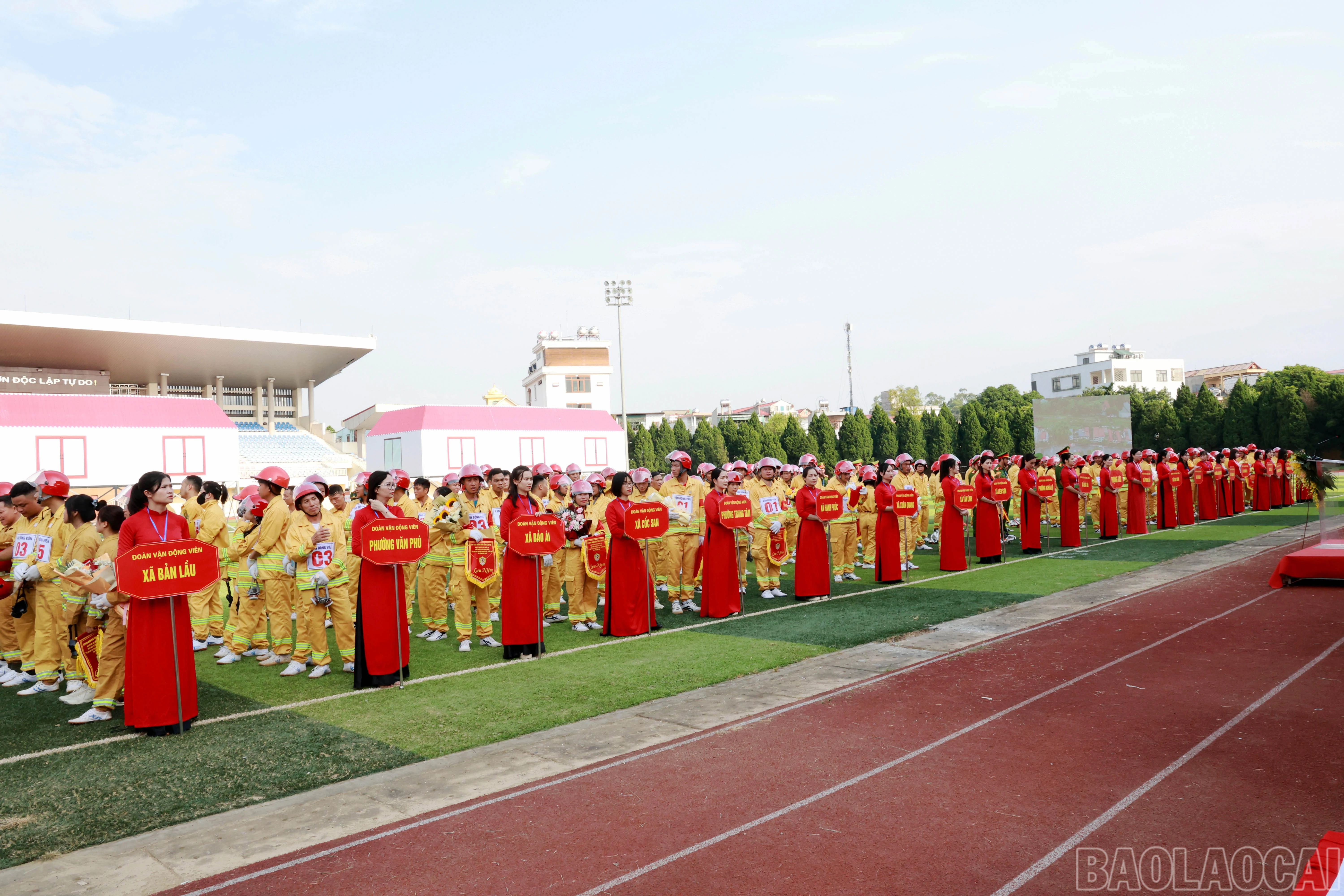 baolaocai-br_060a9321.jpg