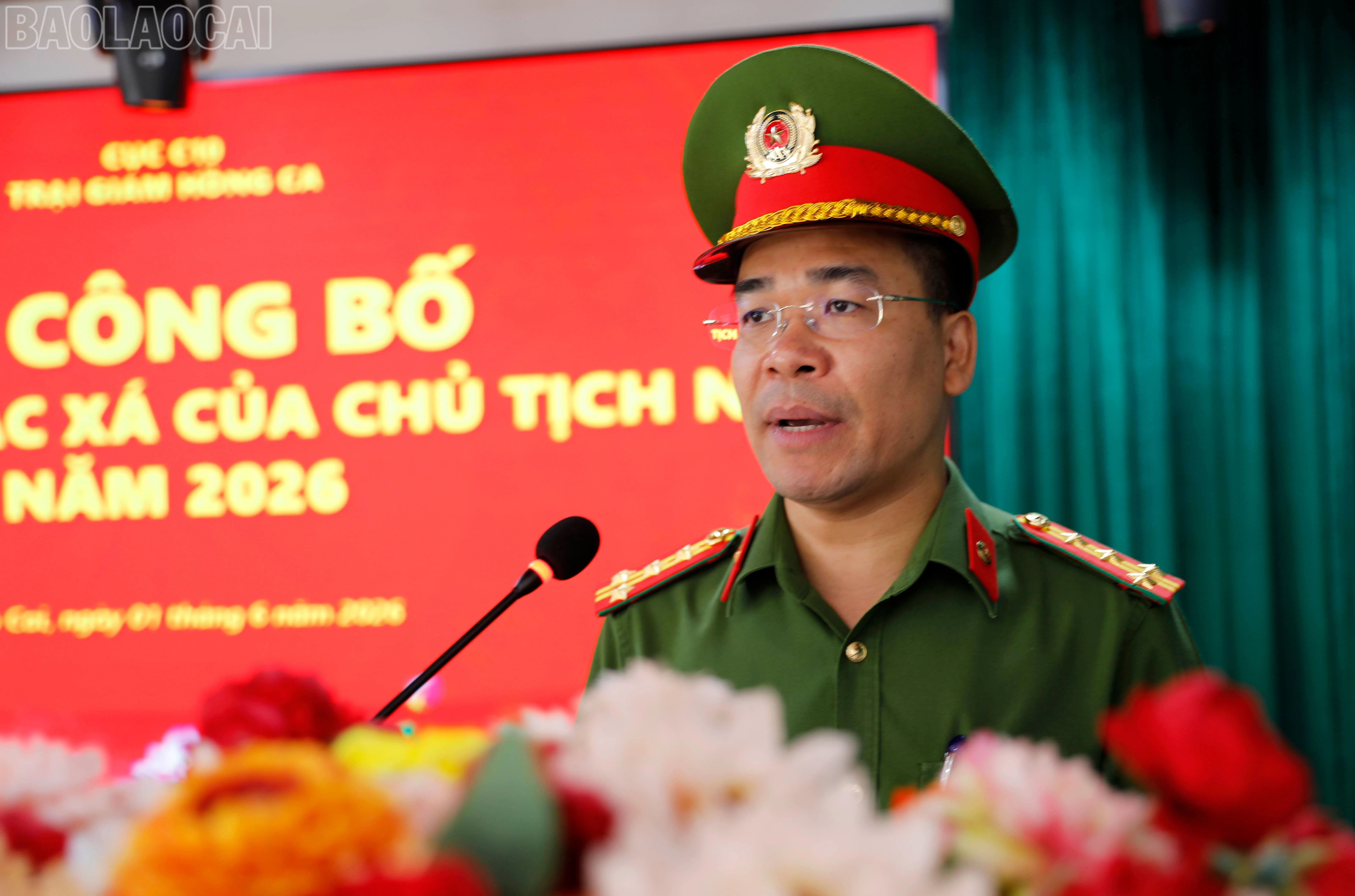 baolaocai-tl_duc0985.jpg