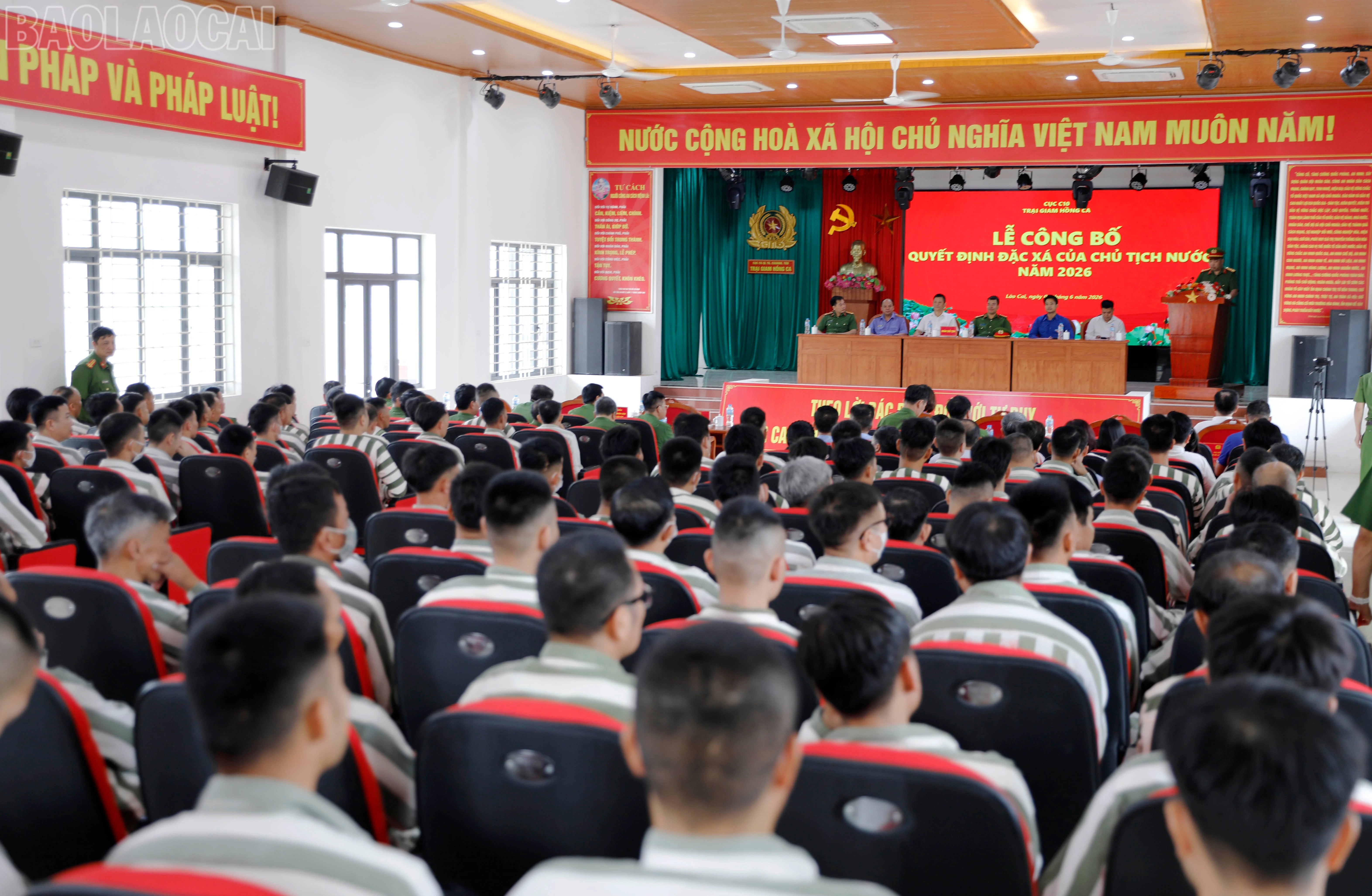 baolaocai-tl_duc0976.jpg