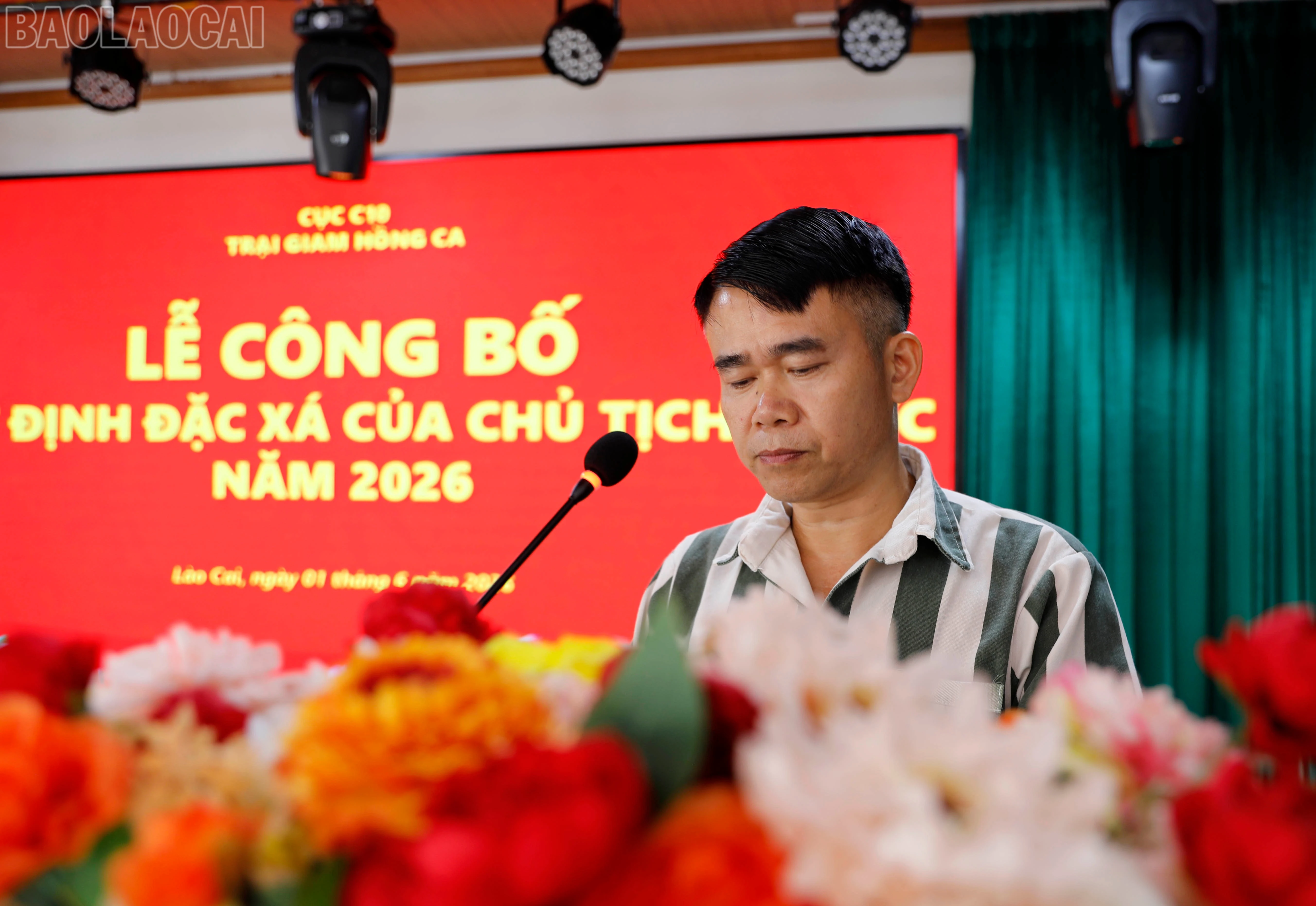 baolaocai-tl_duc1069.jpg
