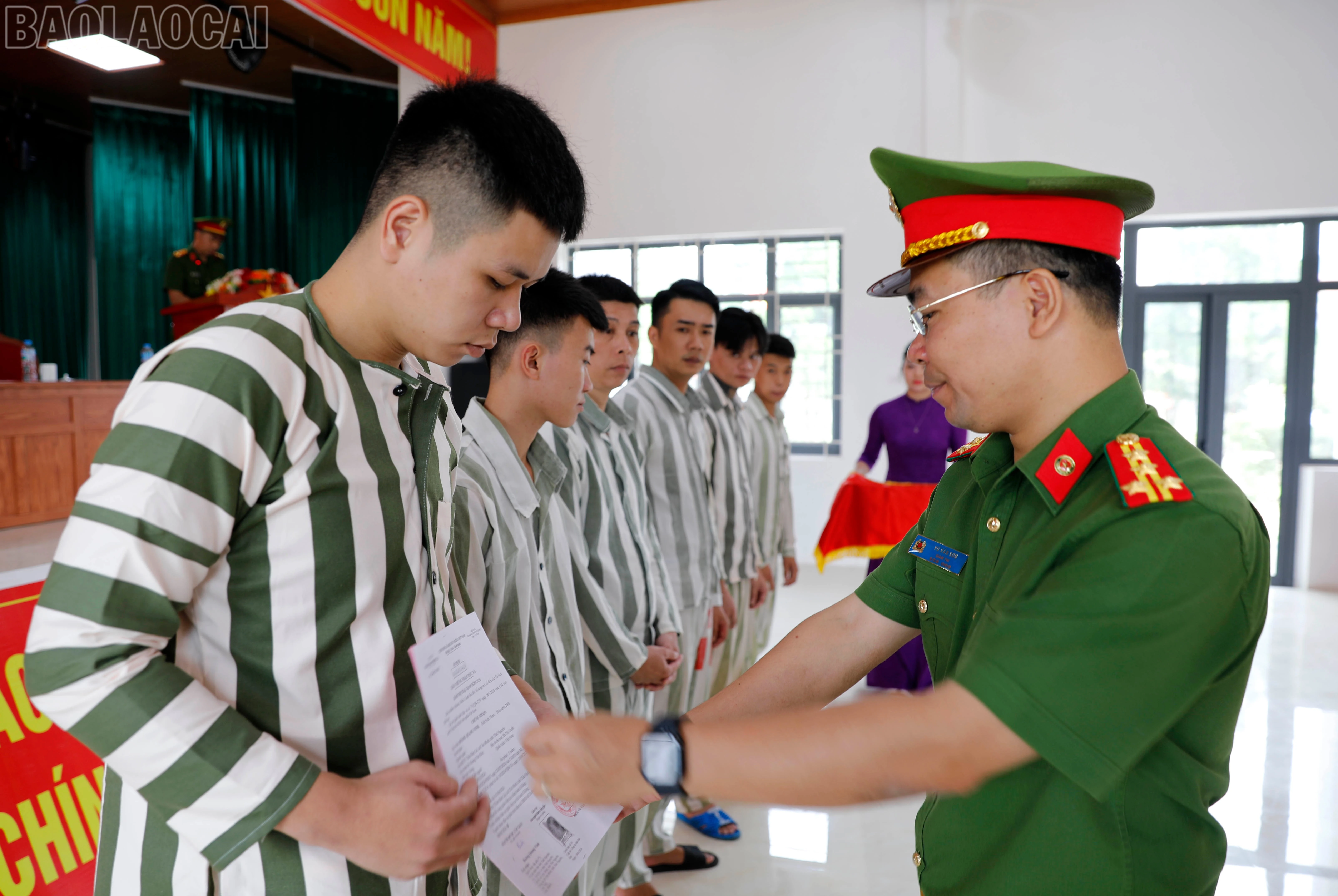 baolaocai-tl_duc1034.jpg