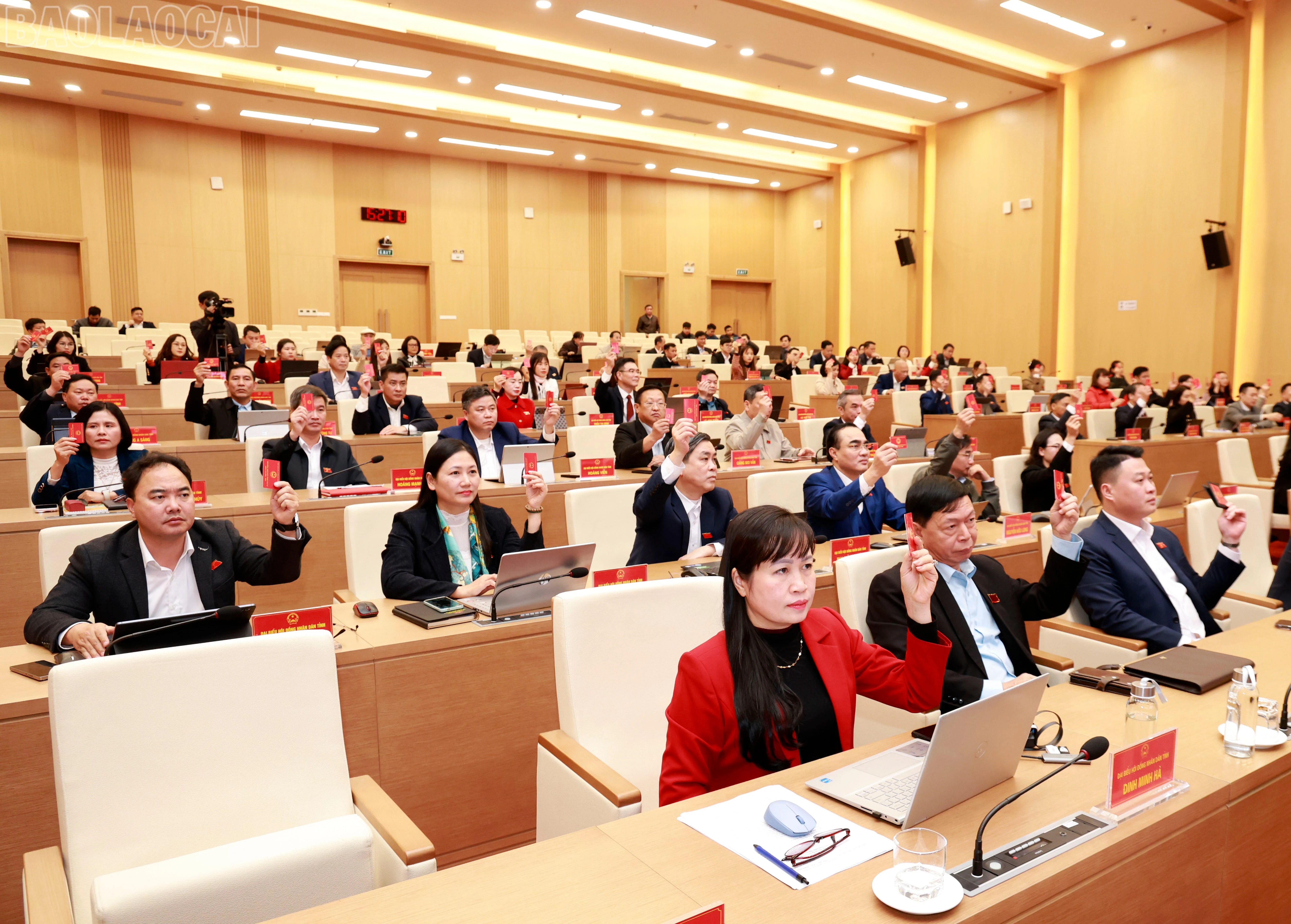 baolaocai-tl_060a6616.jpg