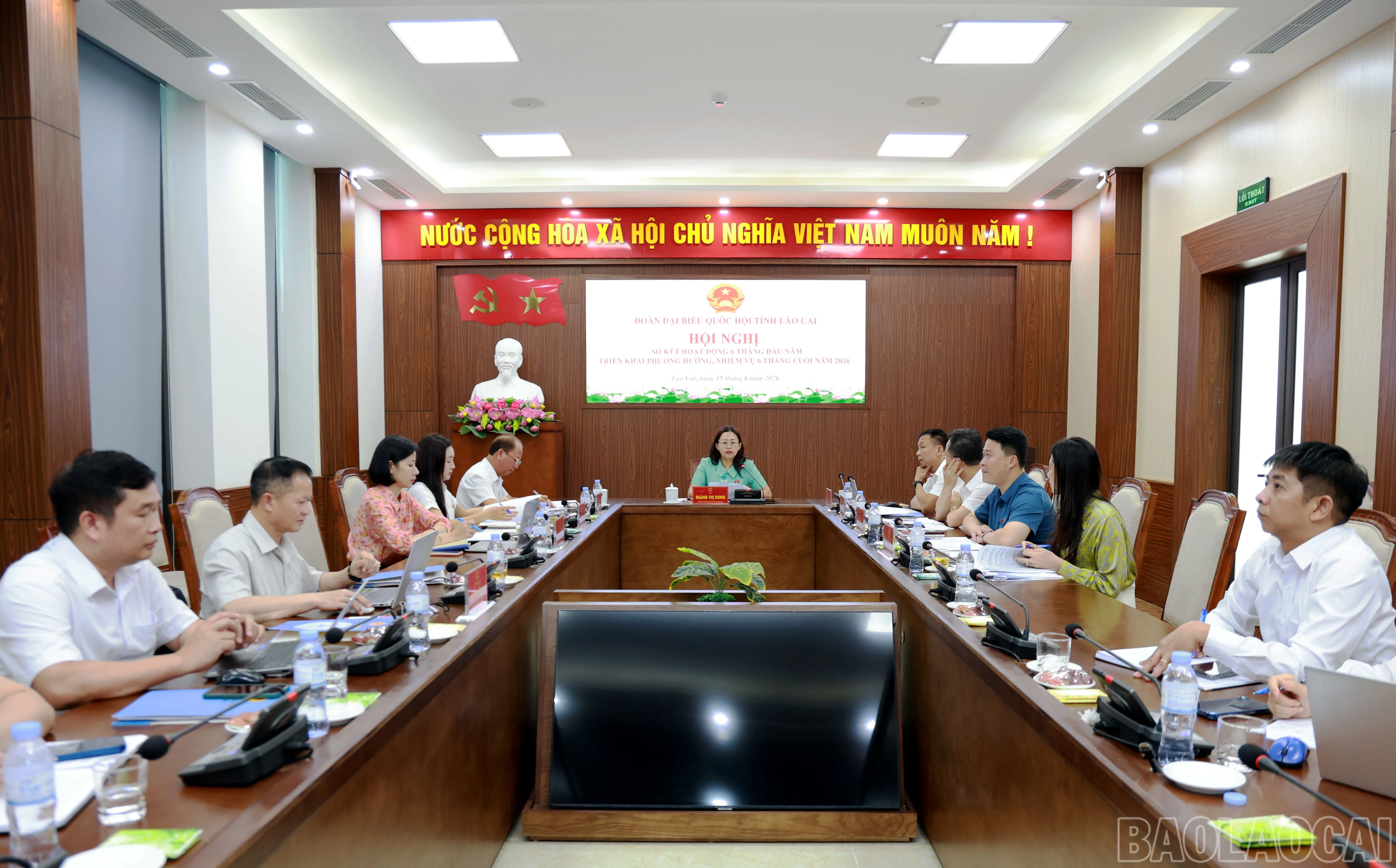 baolaocai-br_060a8256.jpg