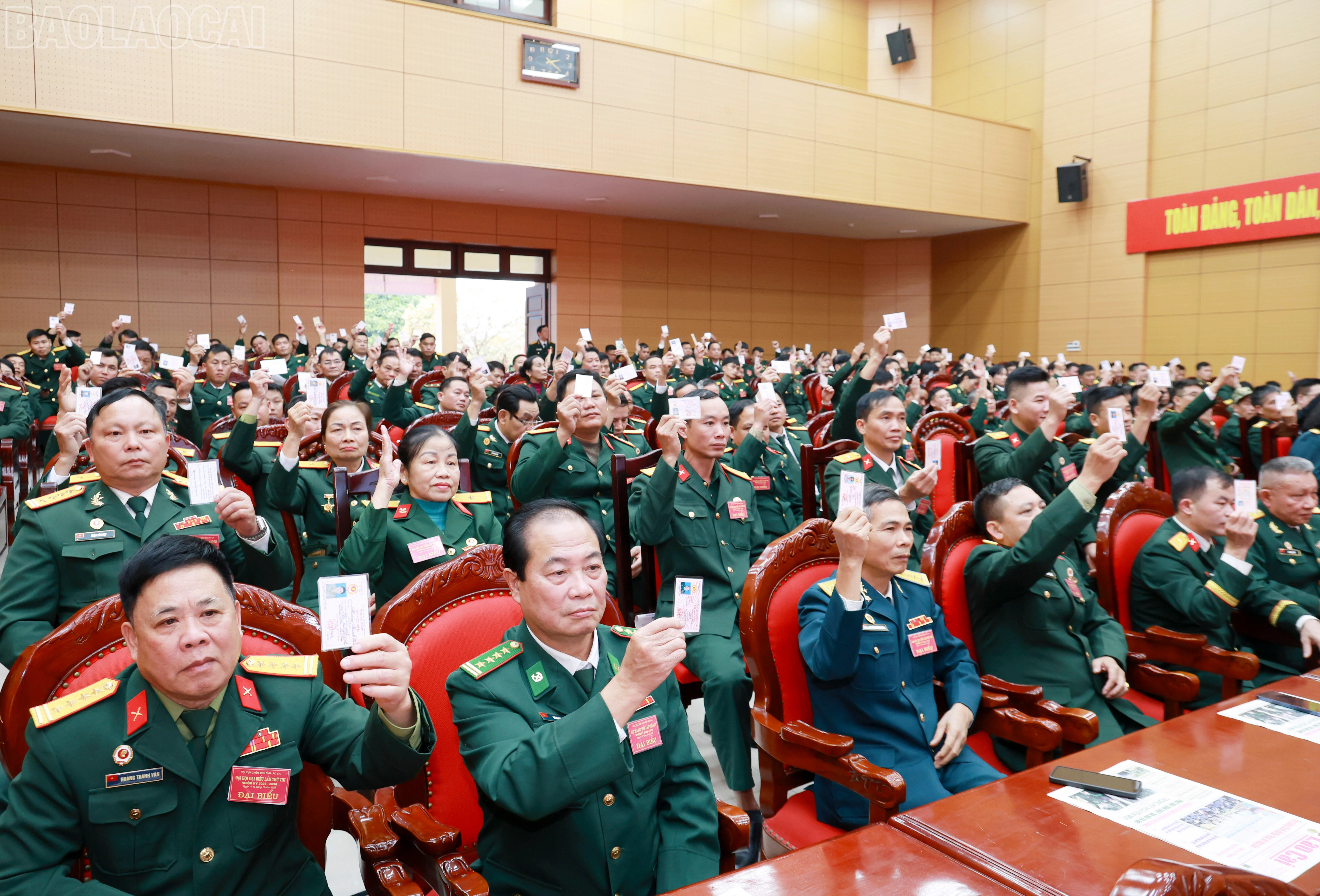 baolaocai-tl_060a5533.jpg