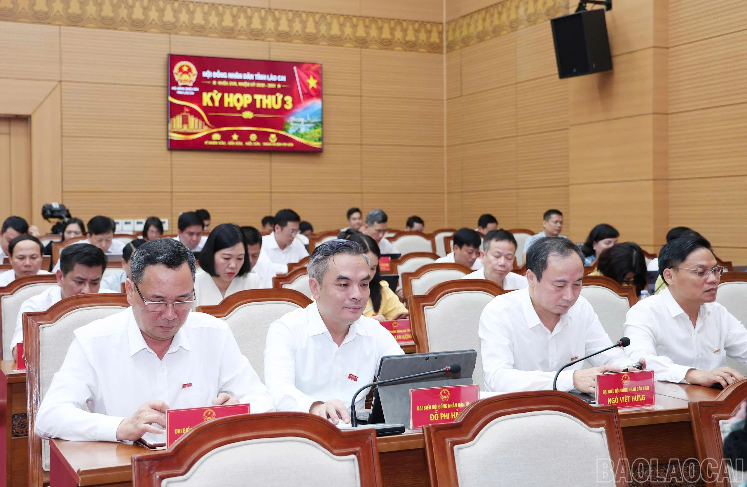baolaocai-br_z7988923869573-d969e9781818408d1011596dc1001848.jpg