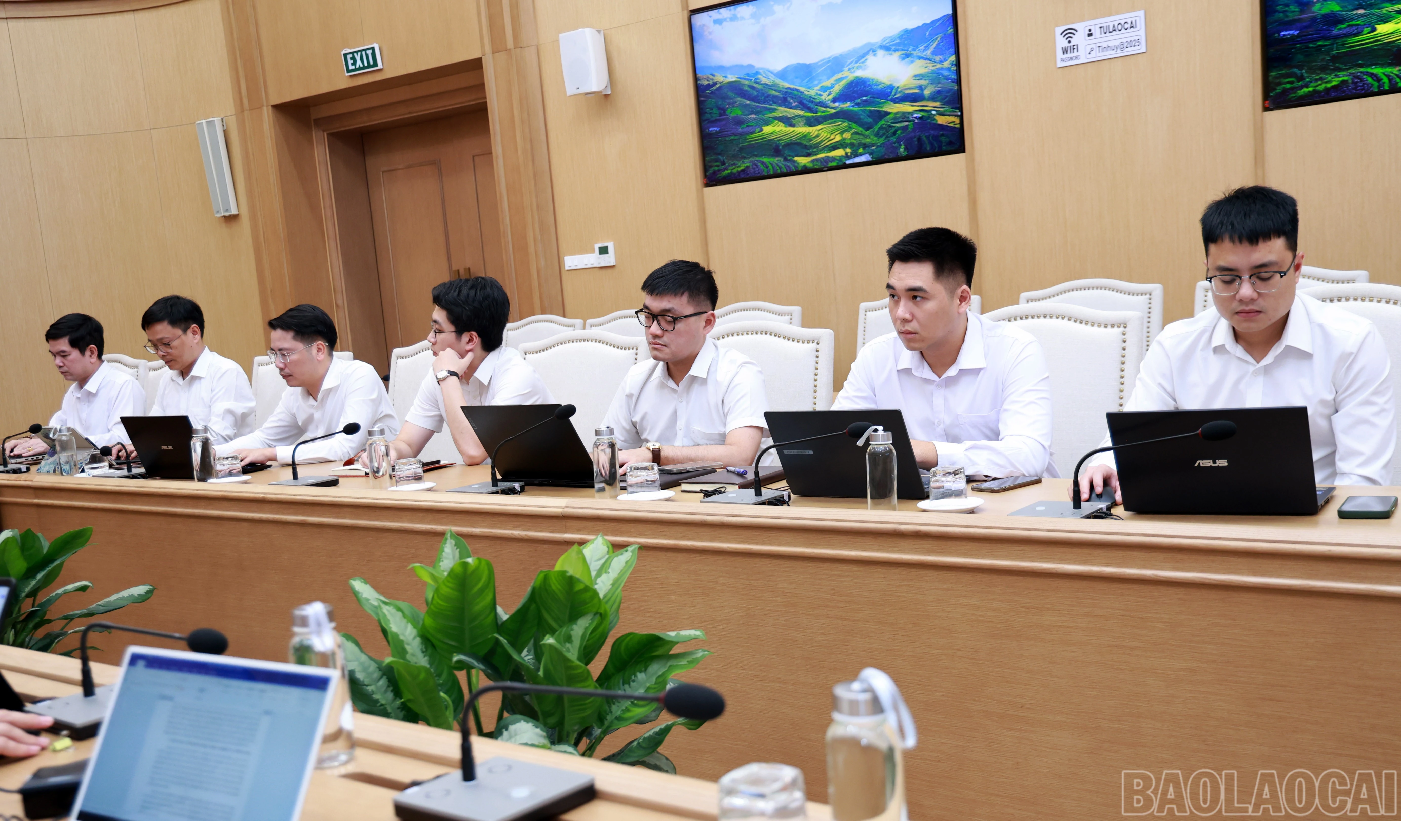 baolaocai-br_060a0414.jpg