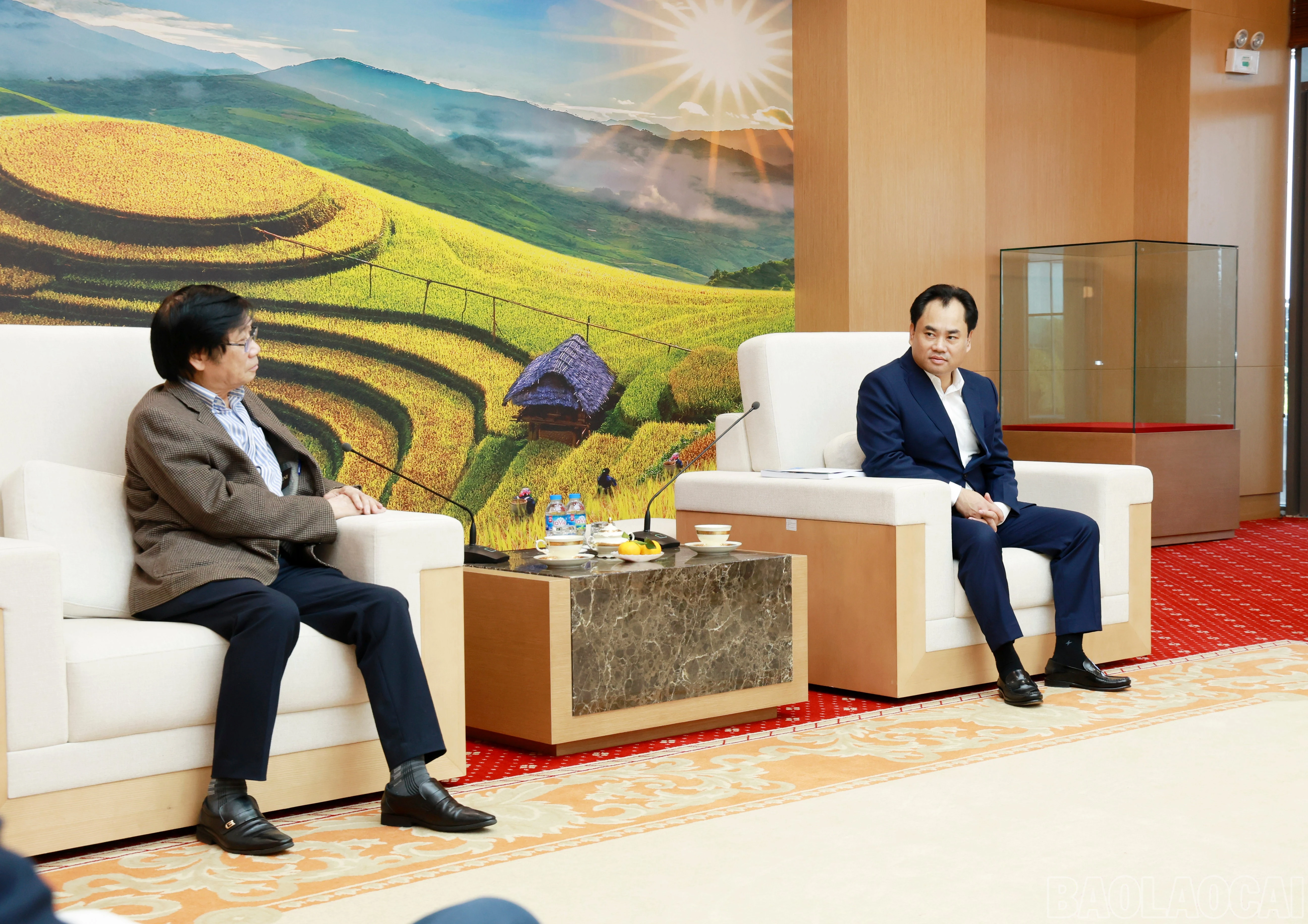 baolaocai-br_060a2474.jpg