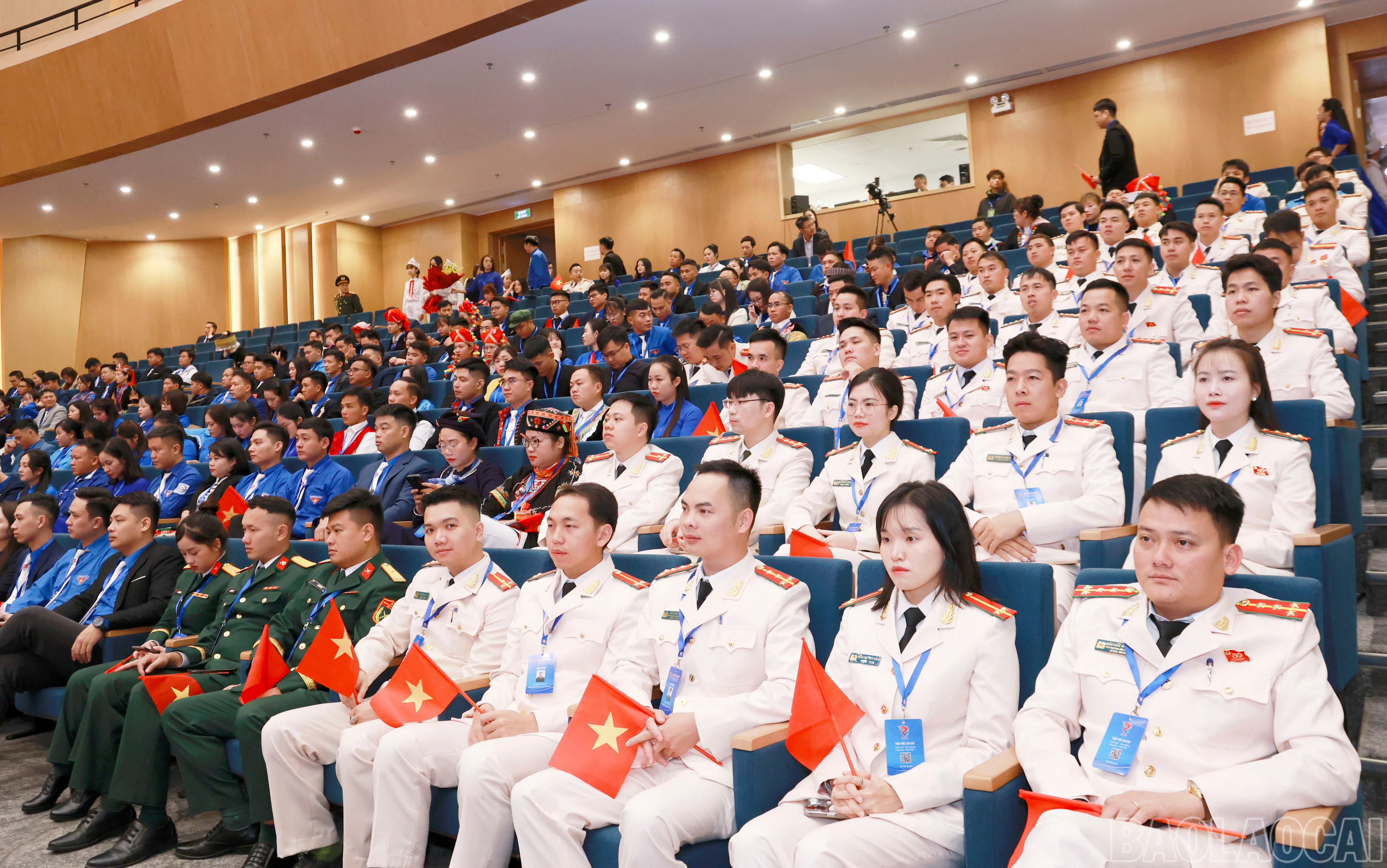 baolaocai-br_060a3872.jpg