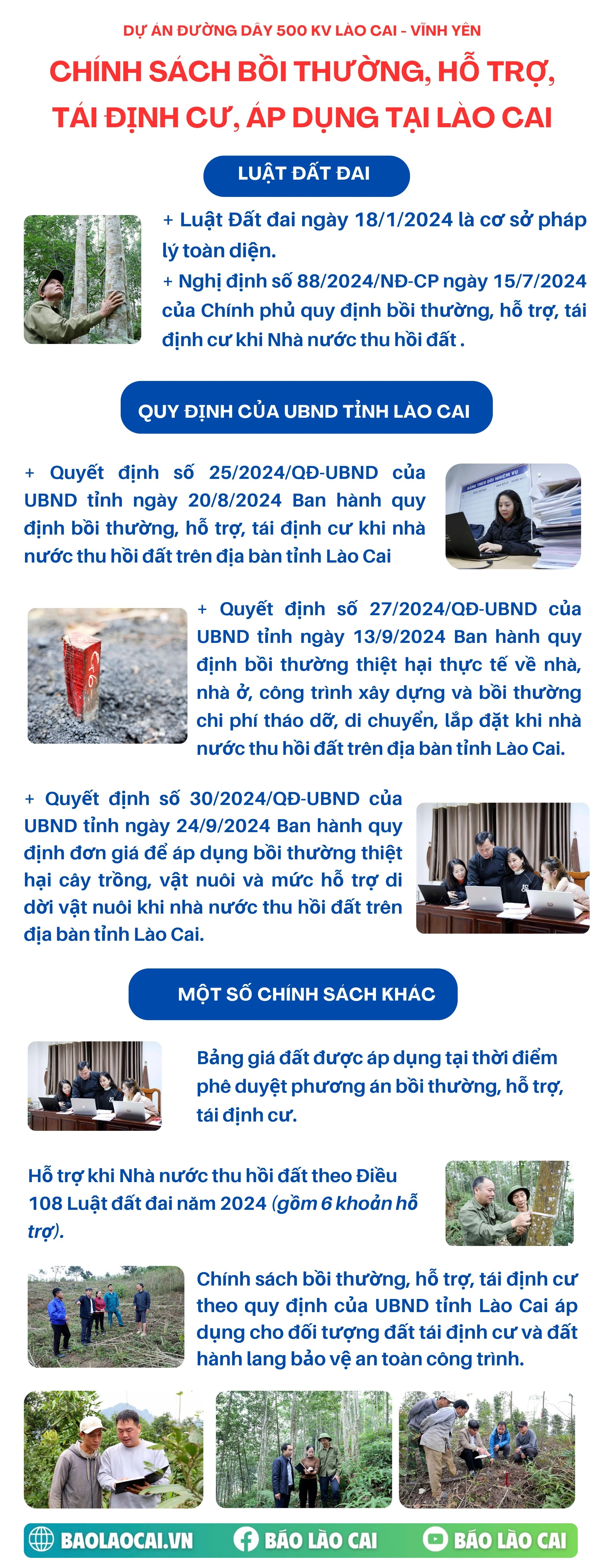 yellow-and-white-doodle-project-infographics-210-x-350-mm-210-x-550-mm.jpg
