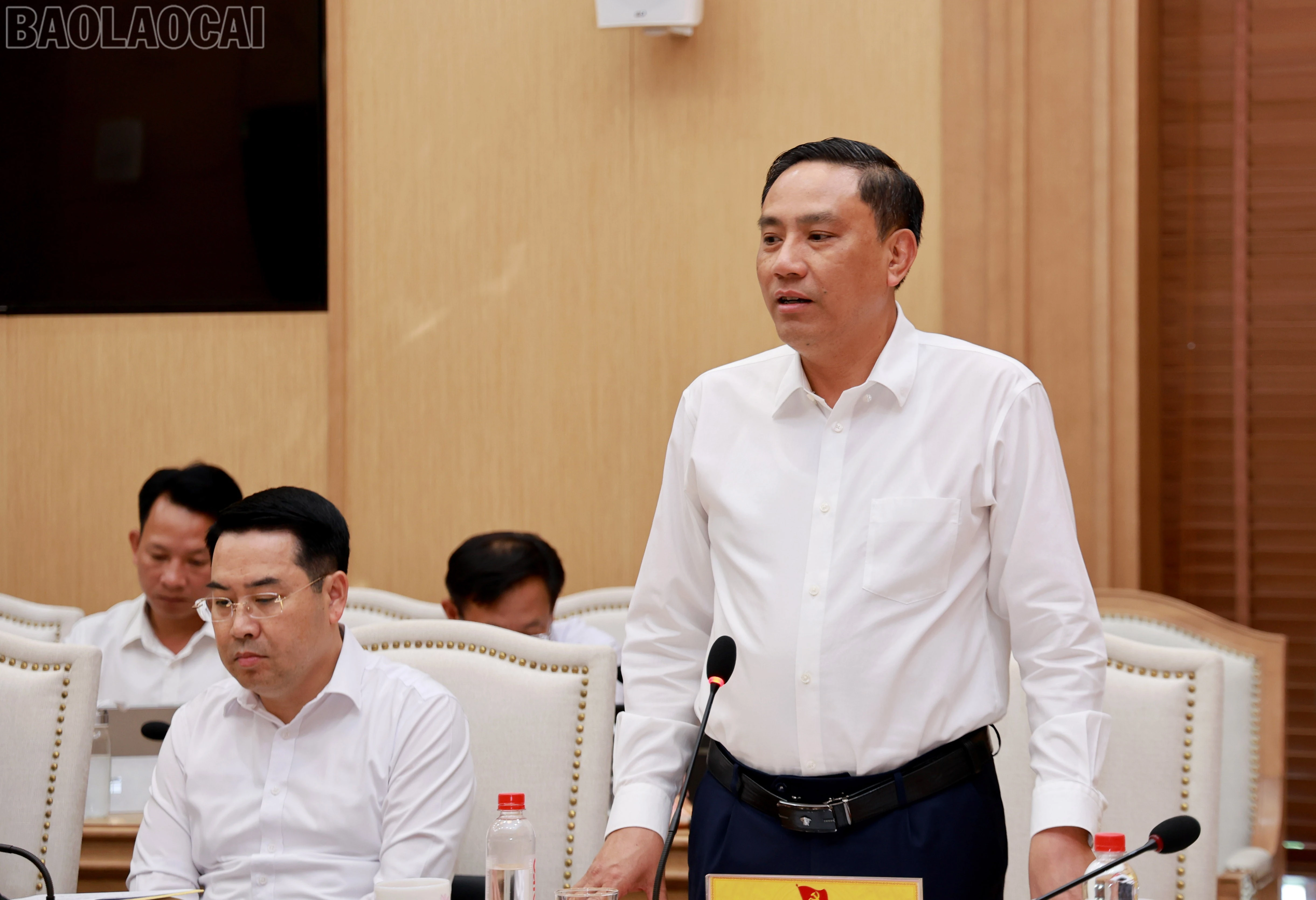 baolaocai-tl_060a7260.jpg