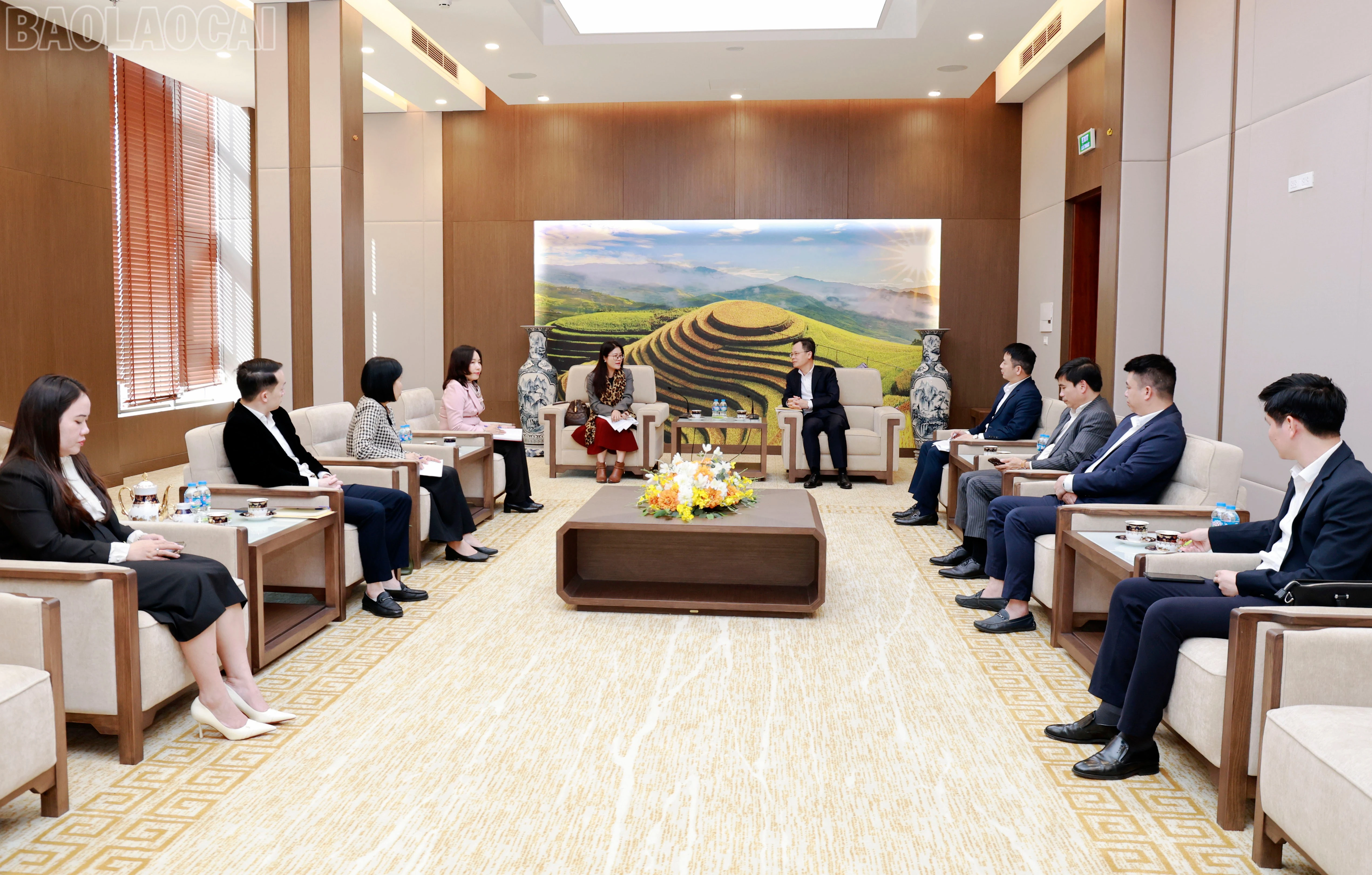 baolaocai-tl_060a9461.jpg