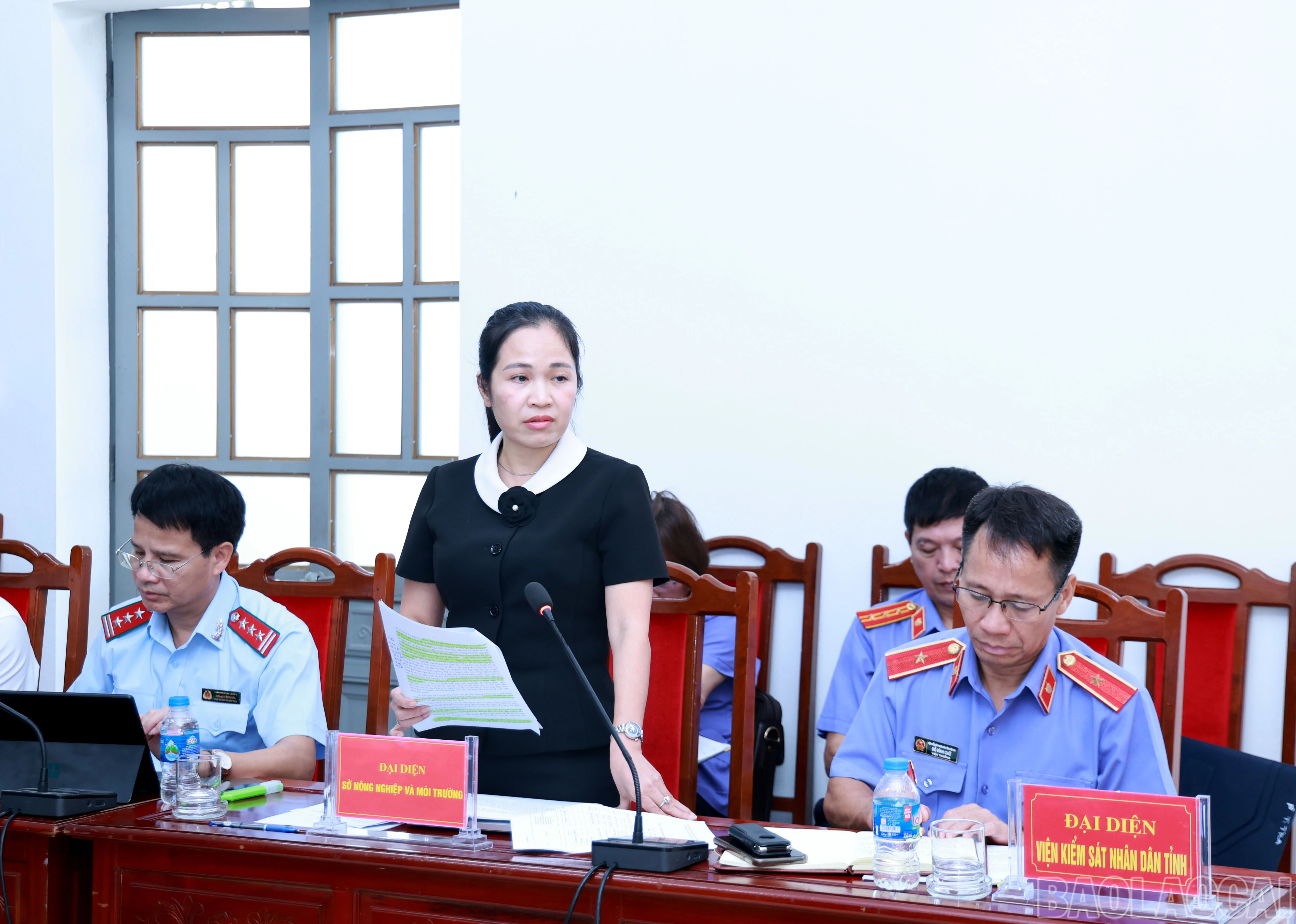 baolaocai-br_060a9998.jpg