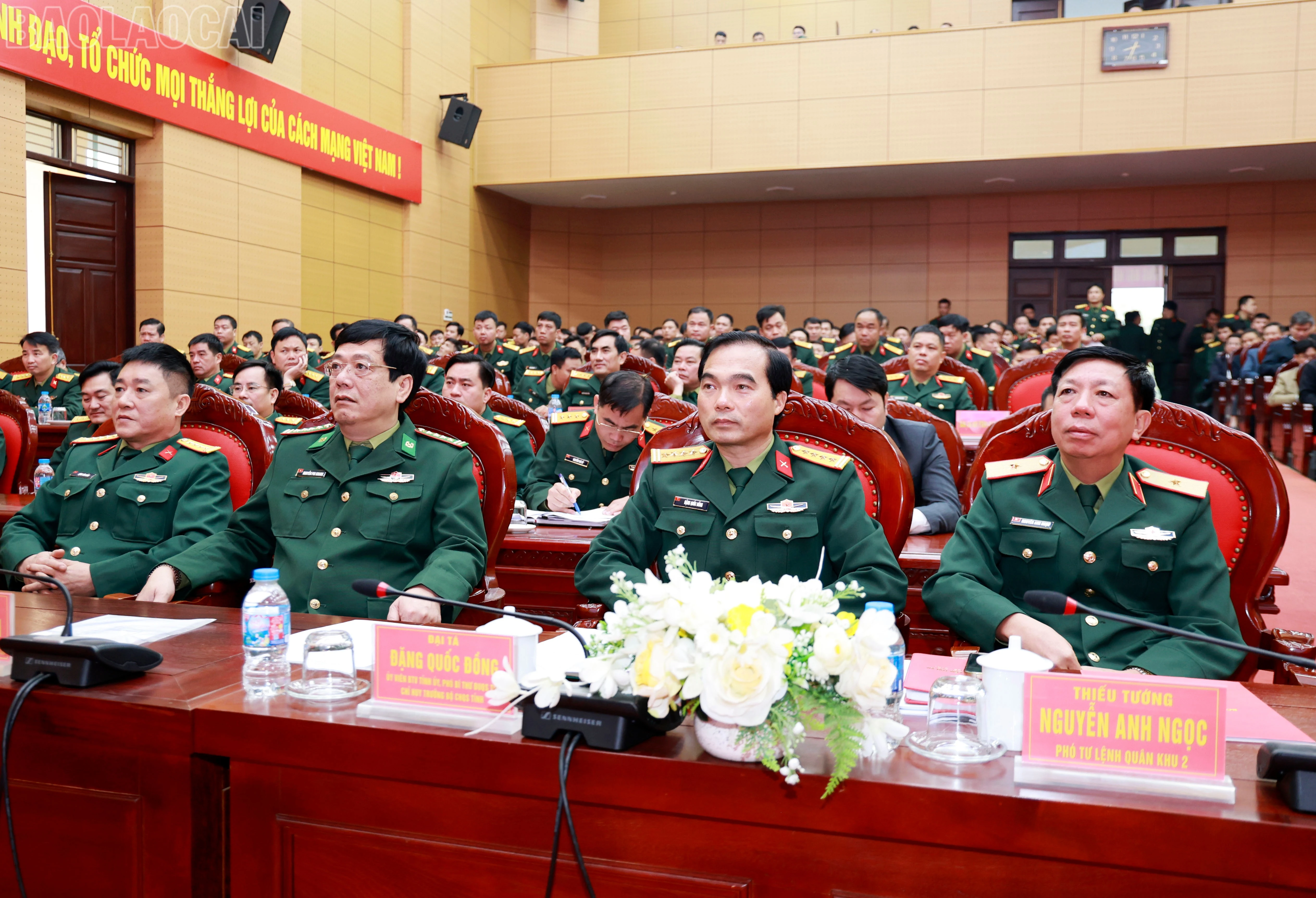 baolaocai-tl_060a5536.jpg
