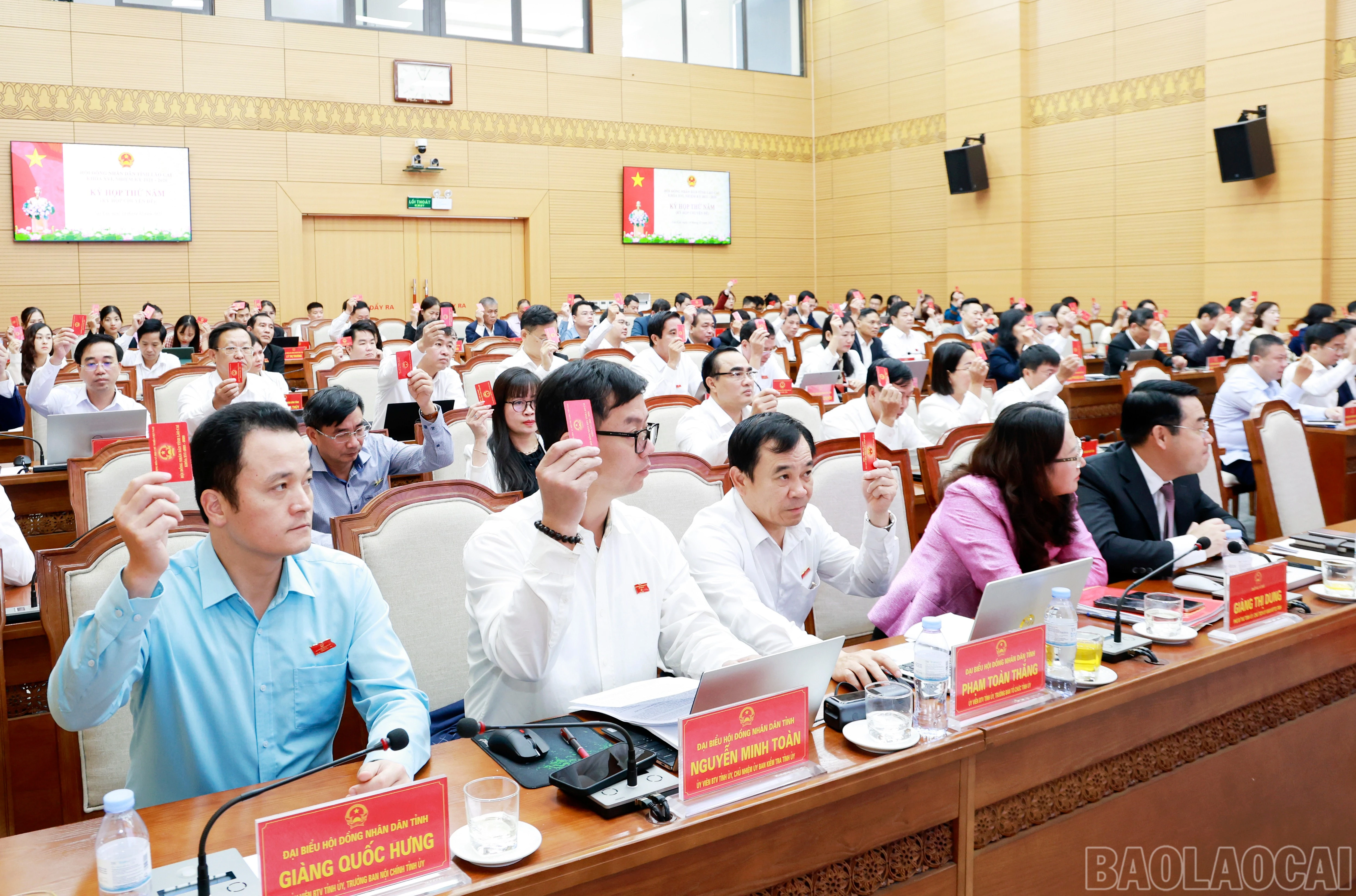 baolaocai-br_060a2738.jpg