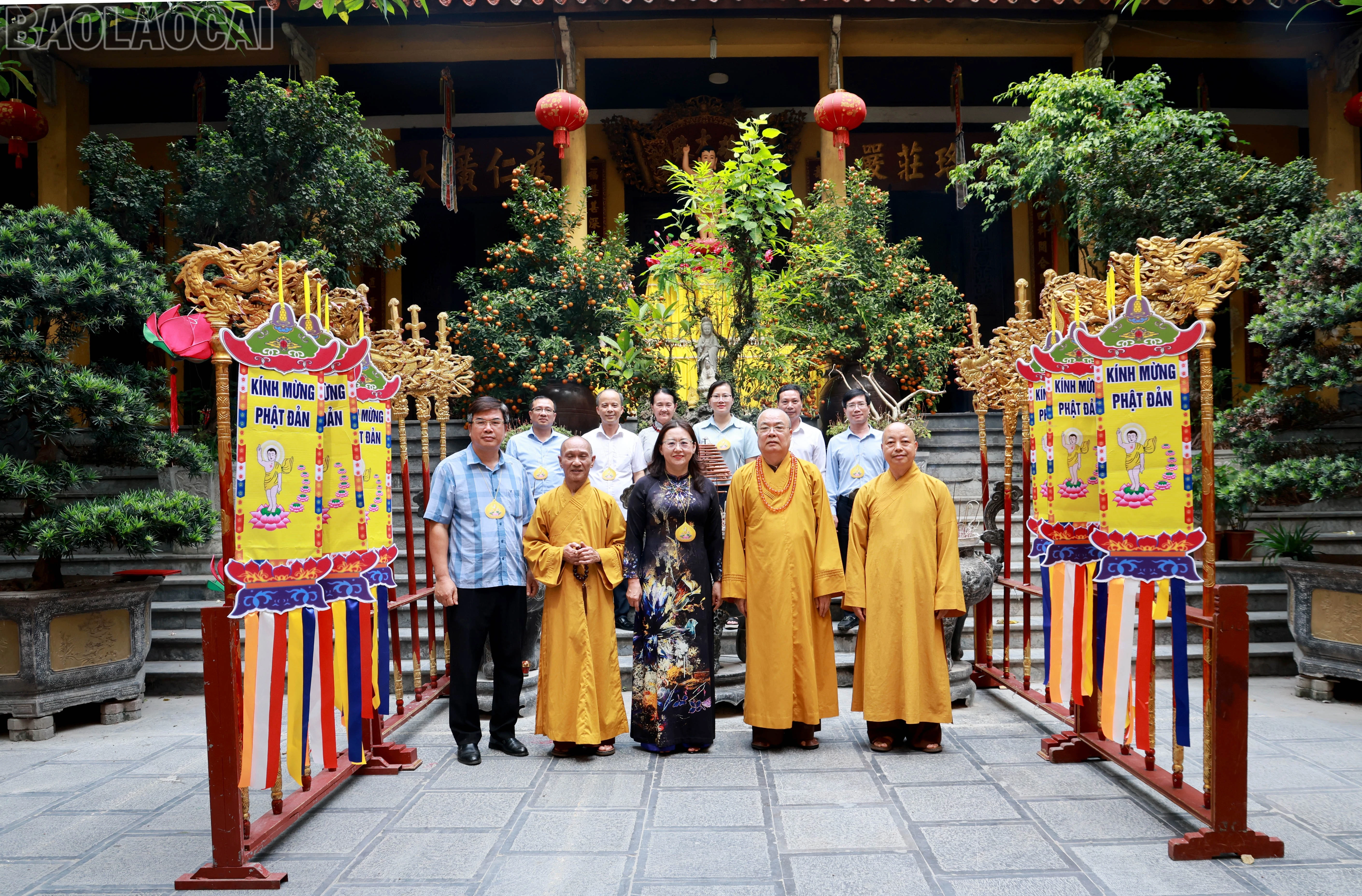 baolaocai-tl_060a7088.jpg