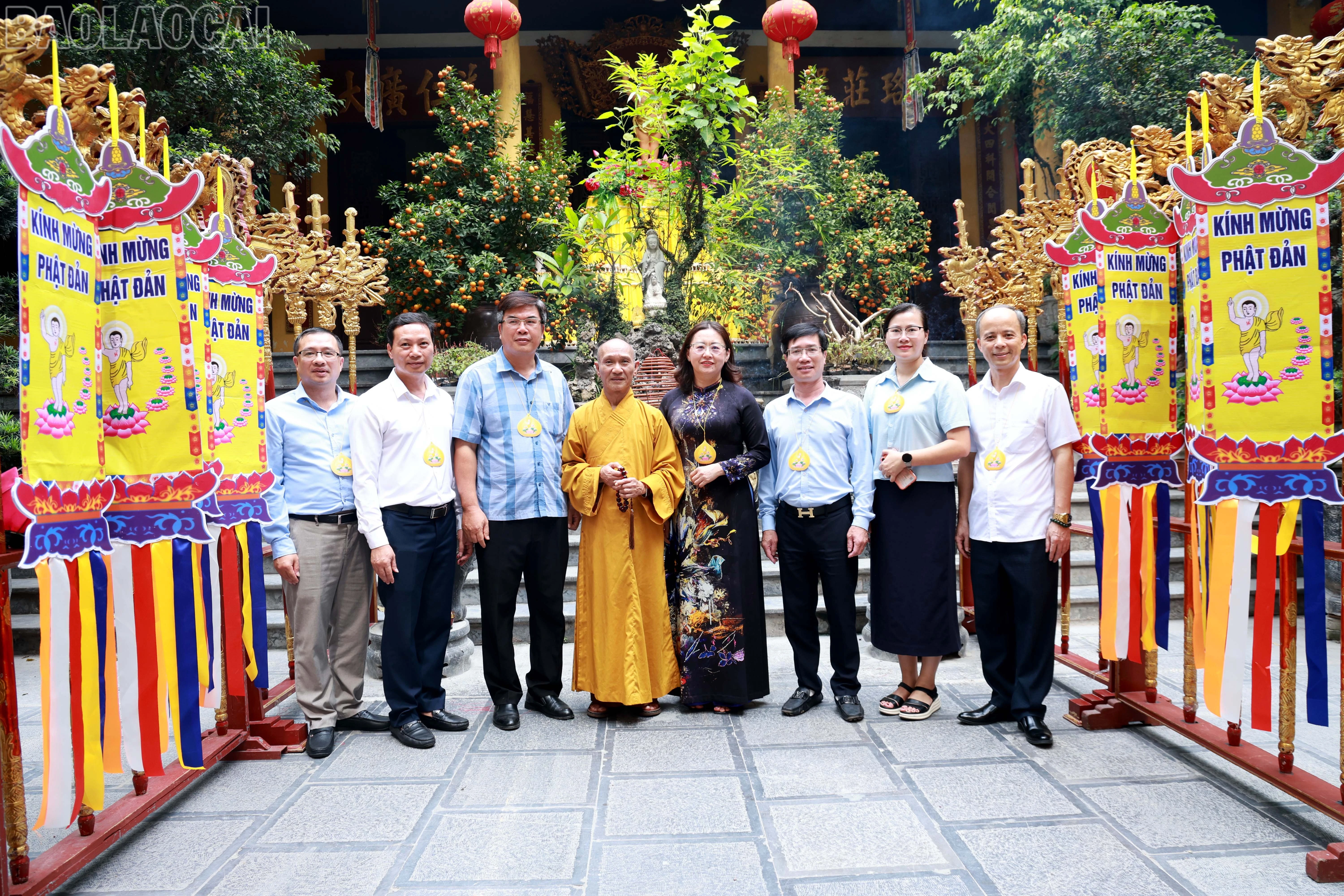 baolaocai-tl_060a7100.jpg