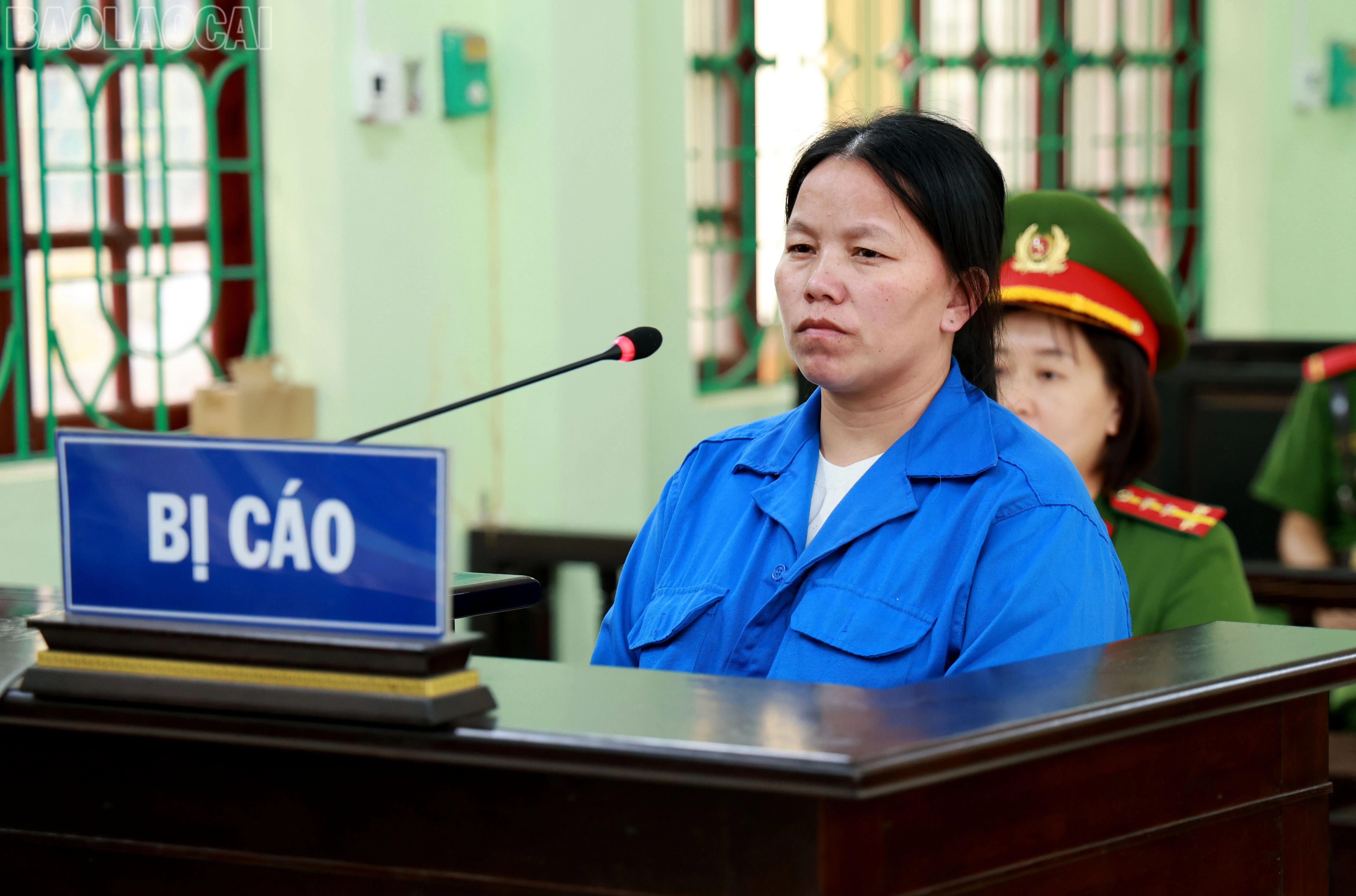 baolaocai-tl_060a8016.jpg