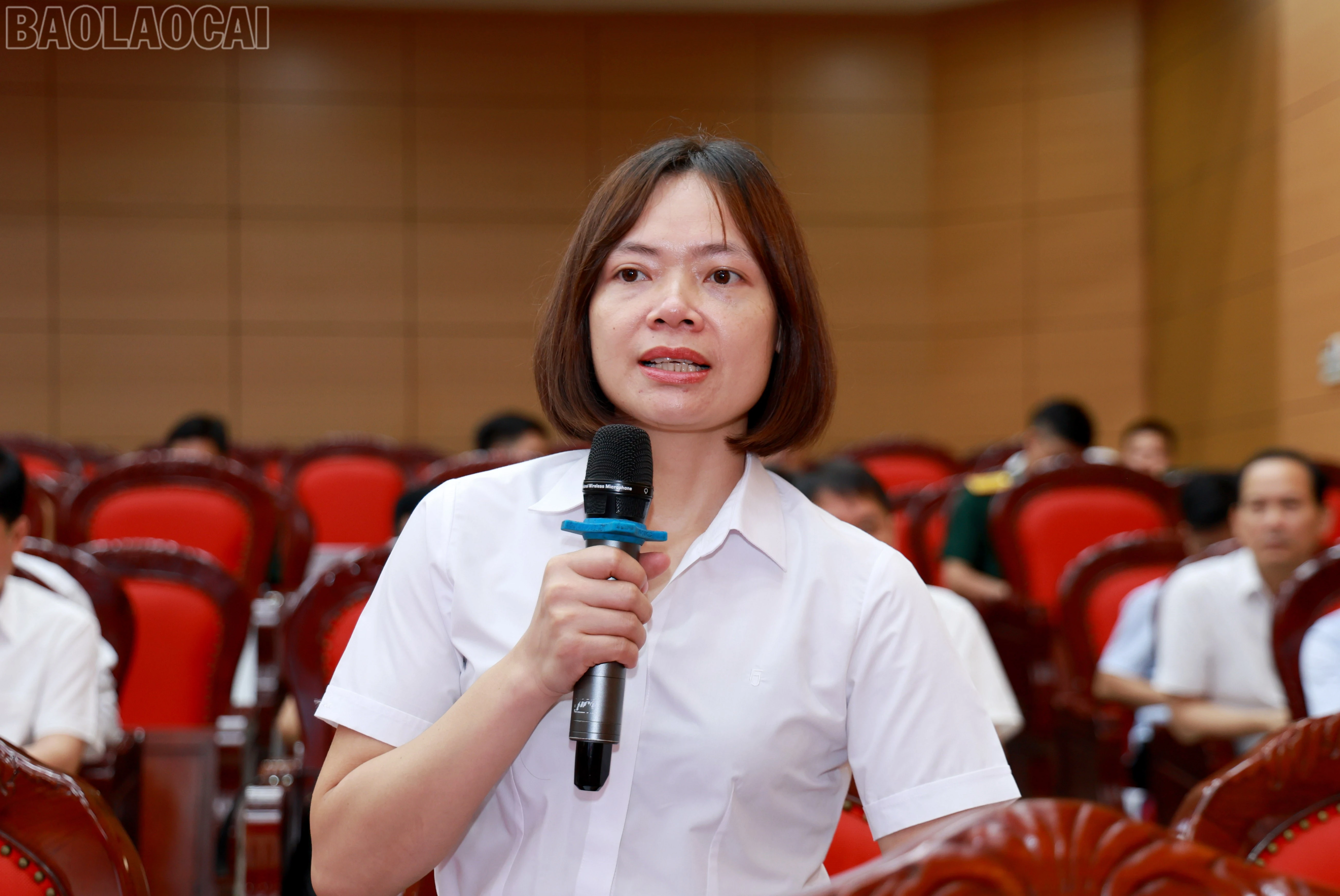 baolaocai-tl_060a8614.jpg