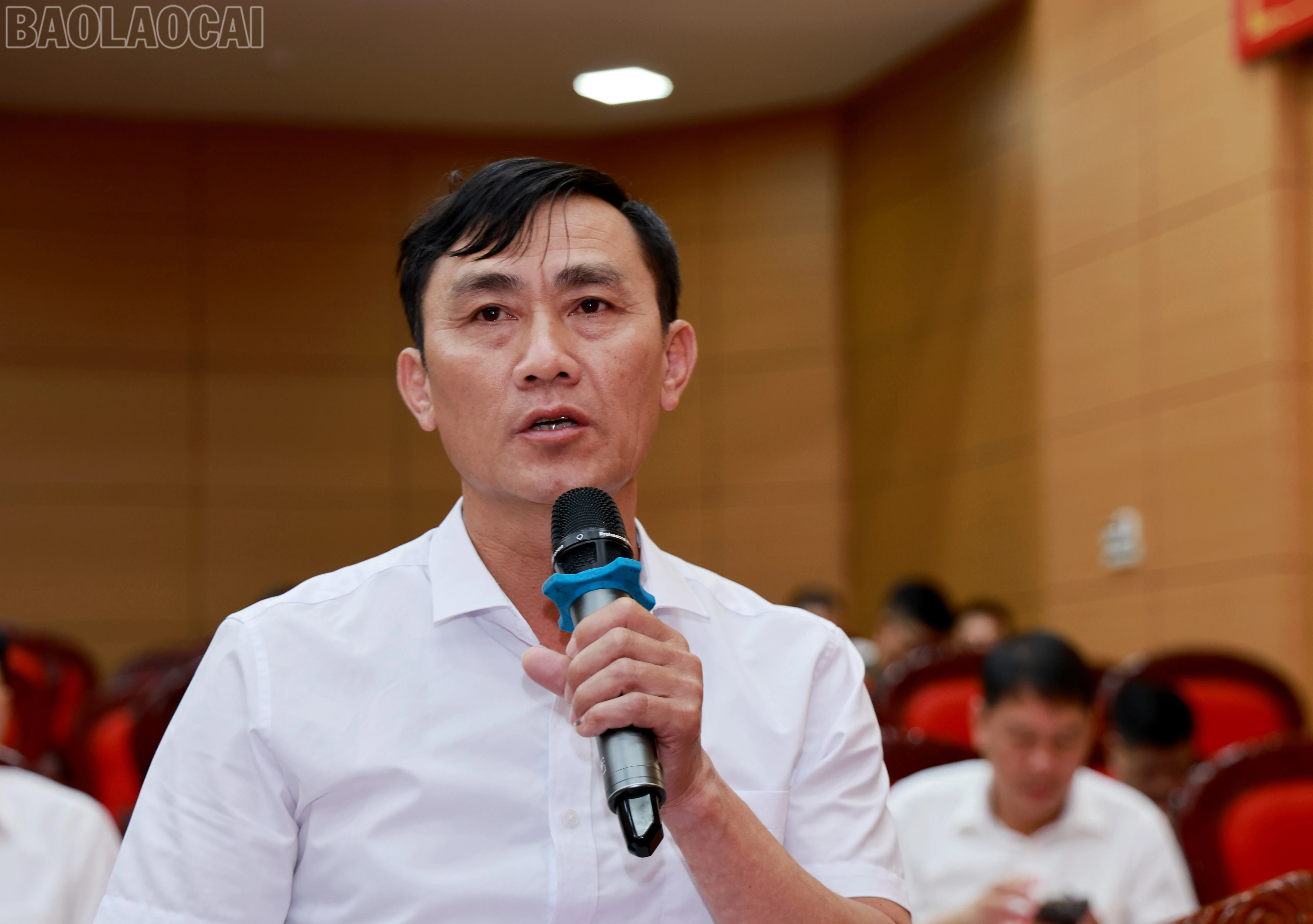 baolaocai-tl_060a8621.jpg