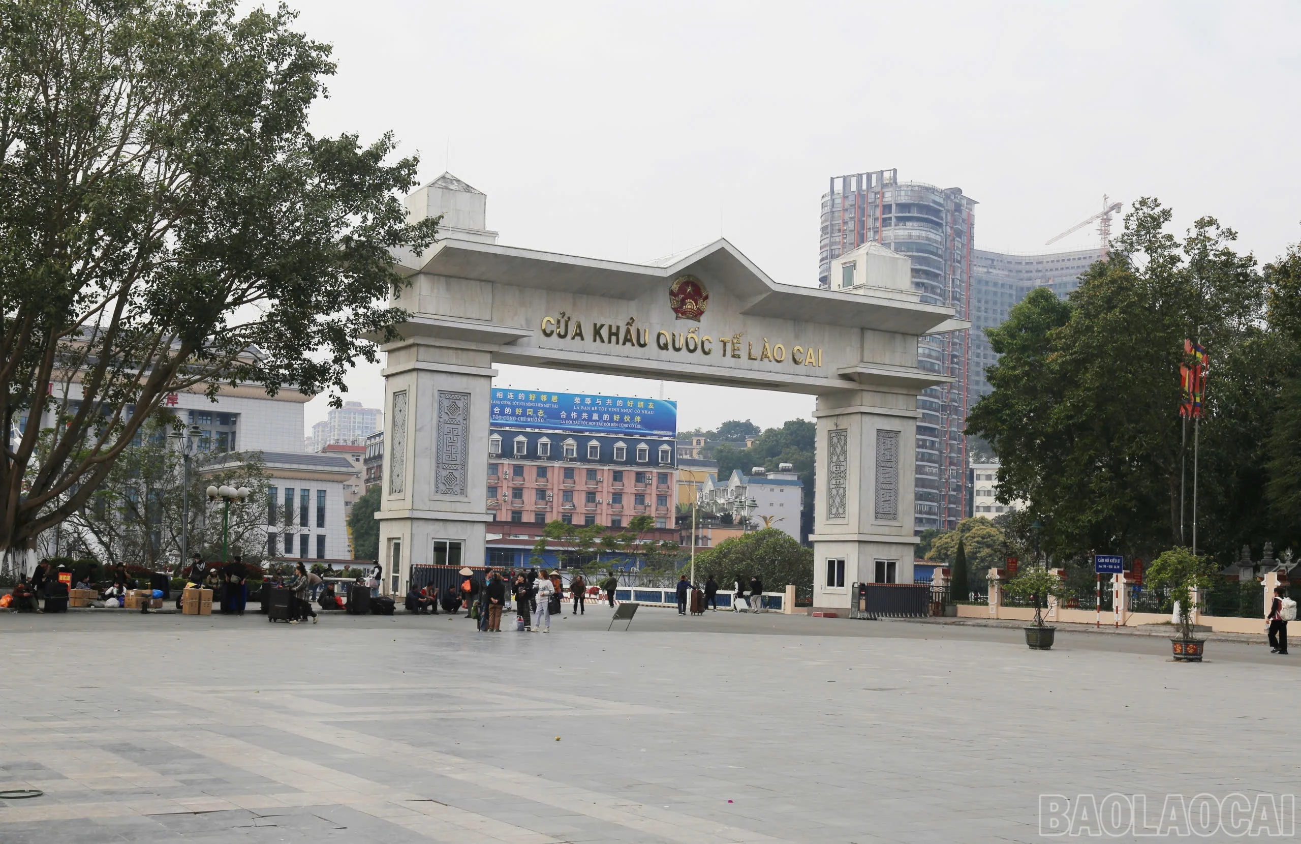 baolaocai-br_z7473505540886-b555de97a9b1db0080bd18910345f570.jpg