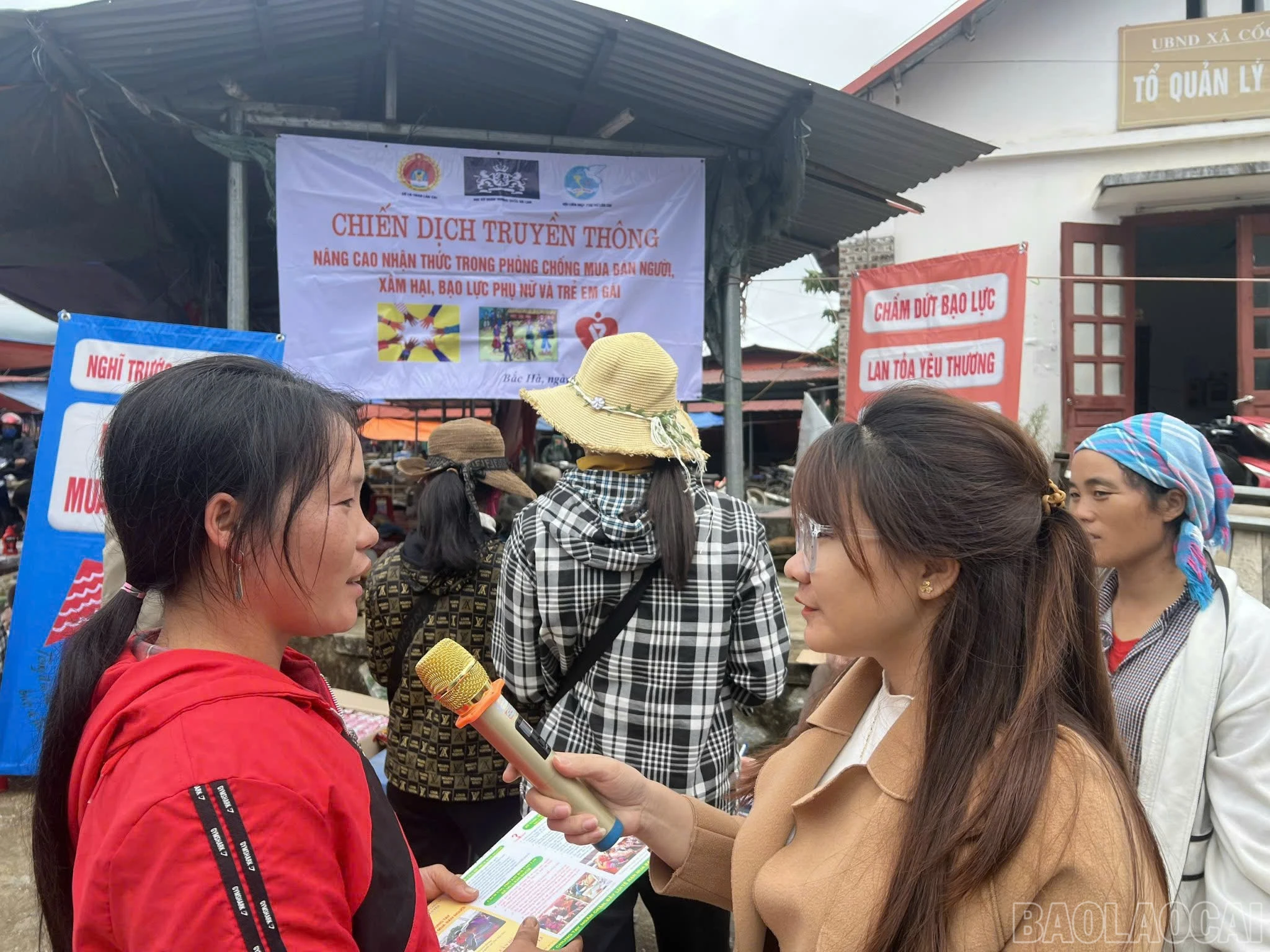 baolaocai-br_z7329425489898-23b7180f7f408e7db2faa02916862422.jpg