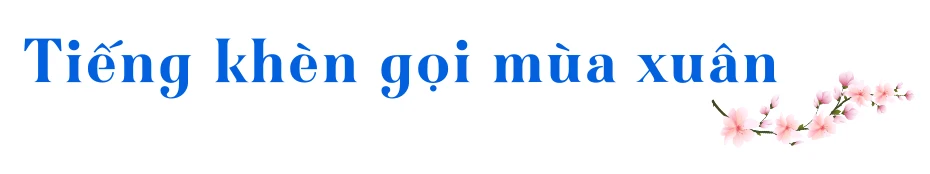 a6.png