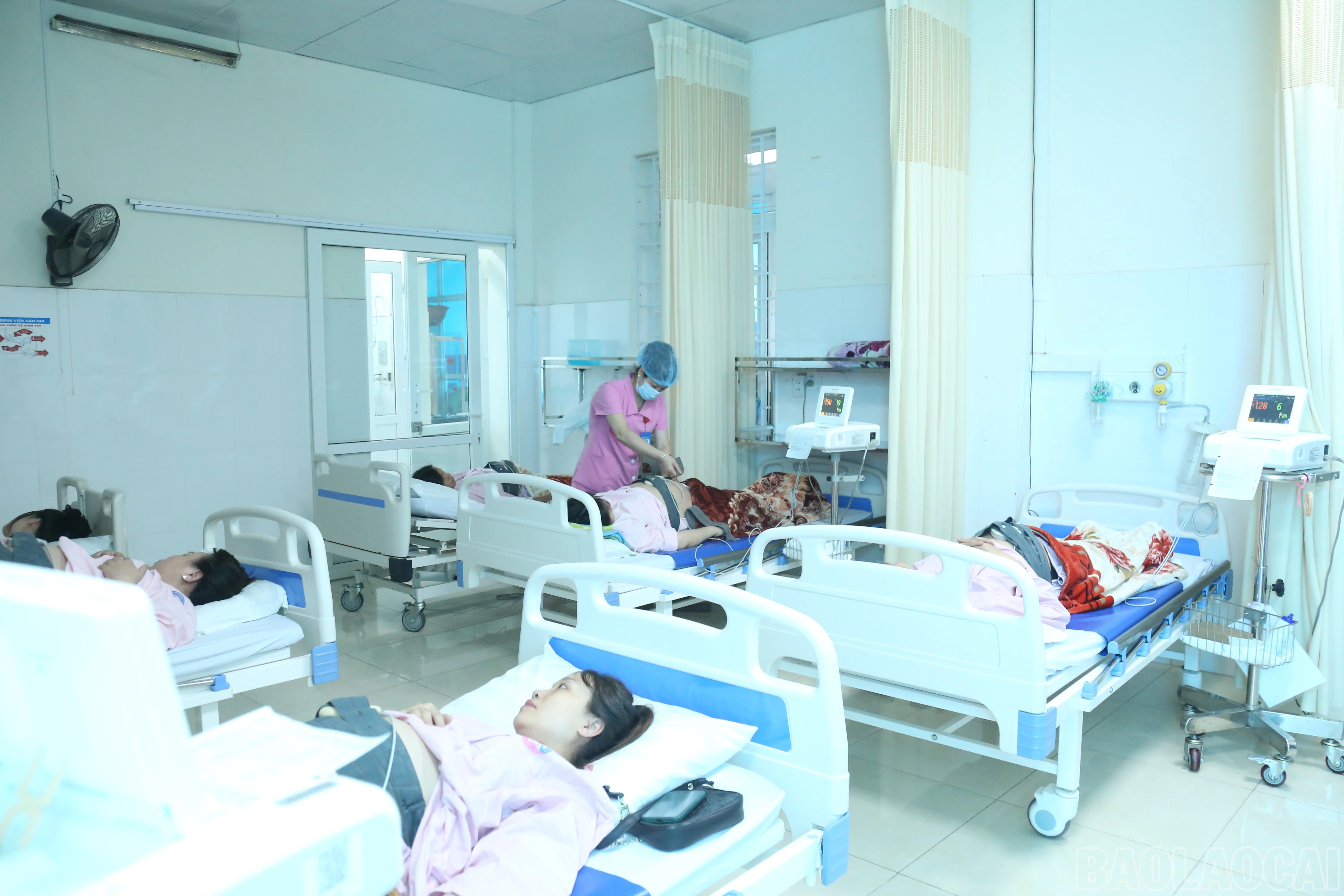 baolaocai-br_img-5434.jpg