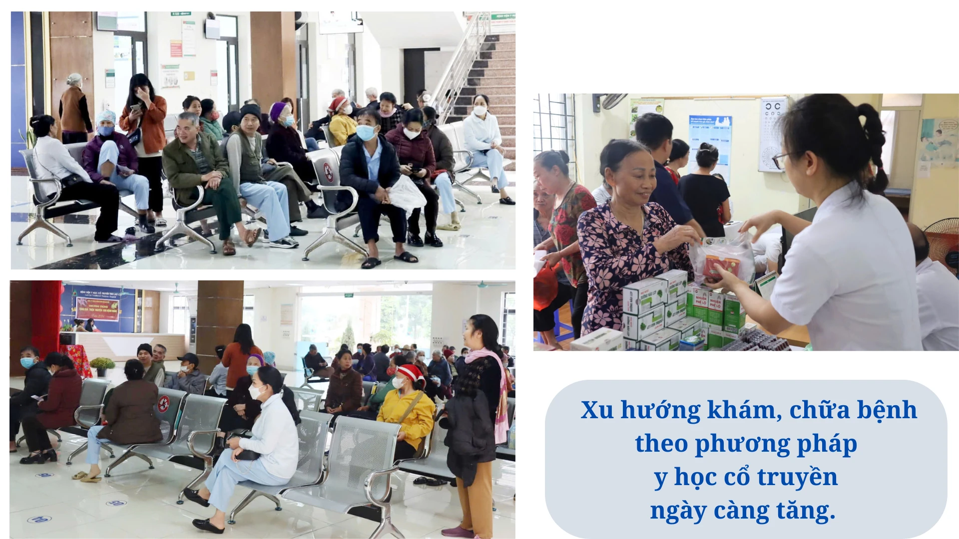dam-bao-nguon-cung-thuoc-y-hoc-co-truyen.png