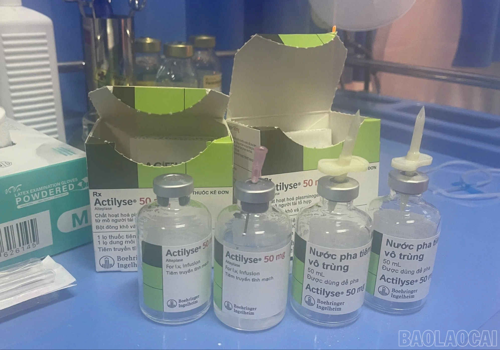 baolaocai-br_z7333000172304-dec129a8b2fda1ec768fc553d1855c90-9366.jpg