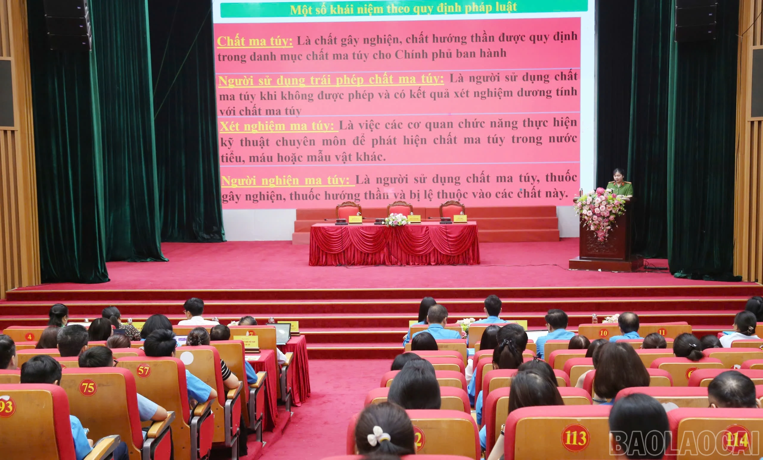 baolaocai-br_z7799737759940-ad84471d7b43fd663ba263016f9fed25.jpg