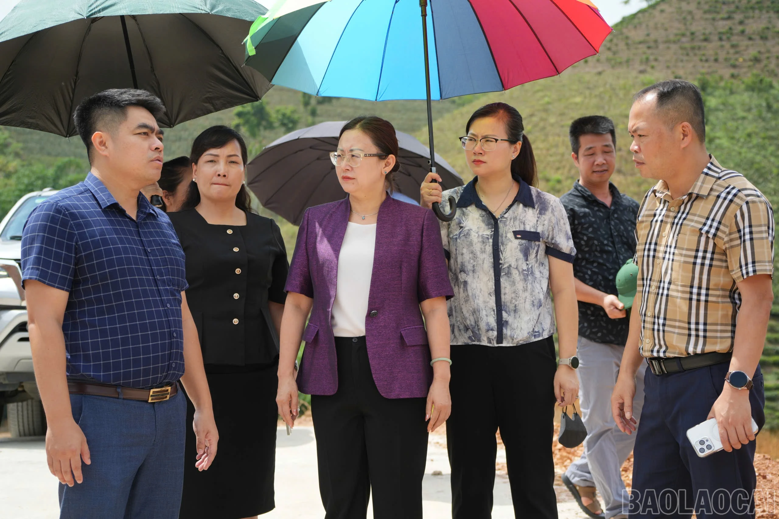 baolaocai-br_z7903552286467-ebe444d49953b3b8e32393682d9f7db4-copy.jpg