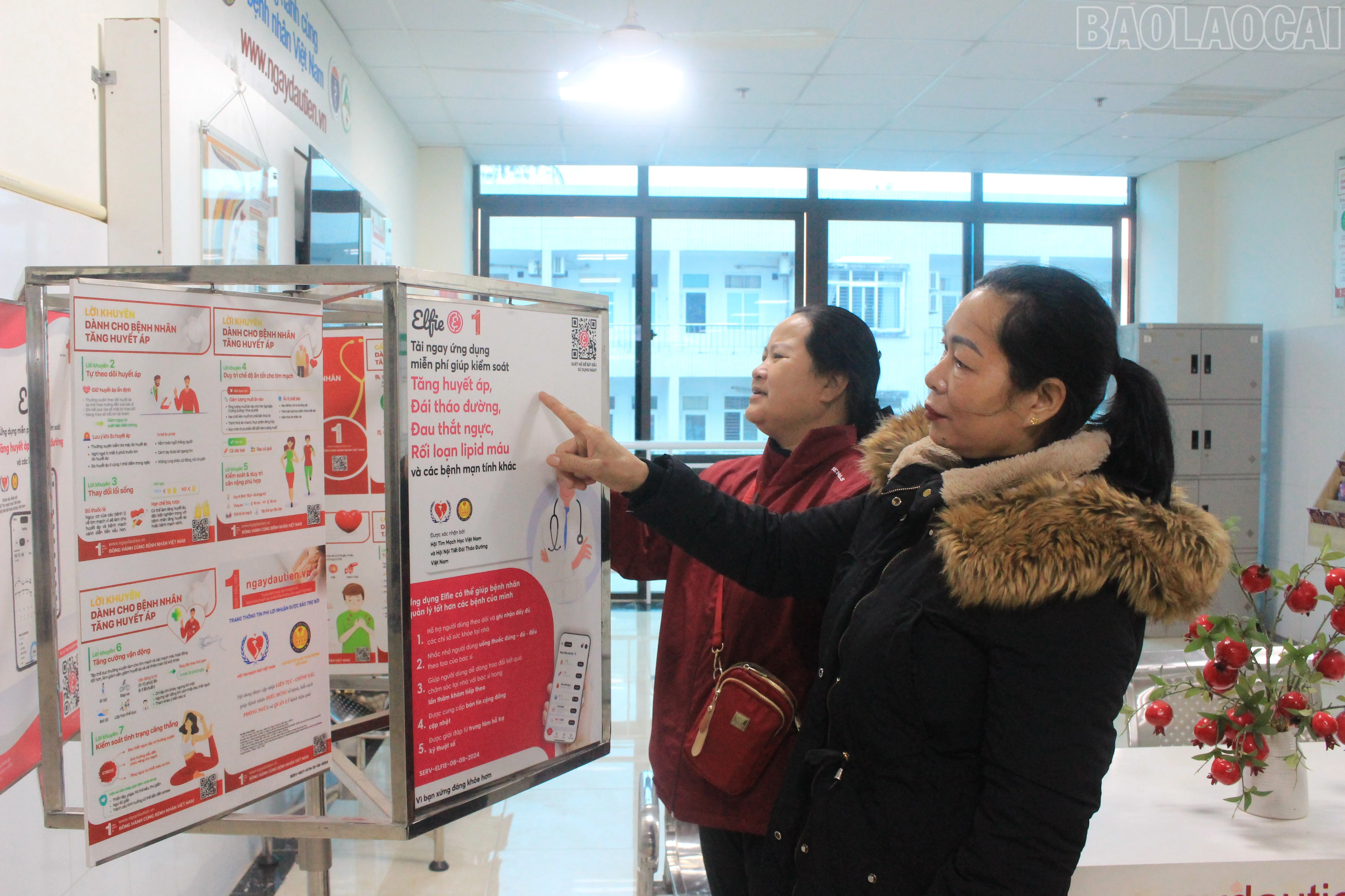 baolaocai-tr_img-6080.jpg