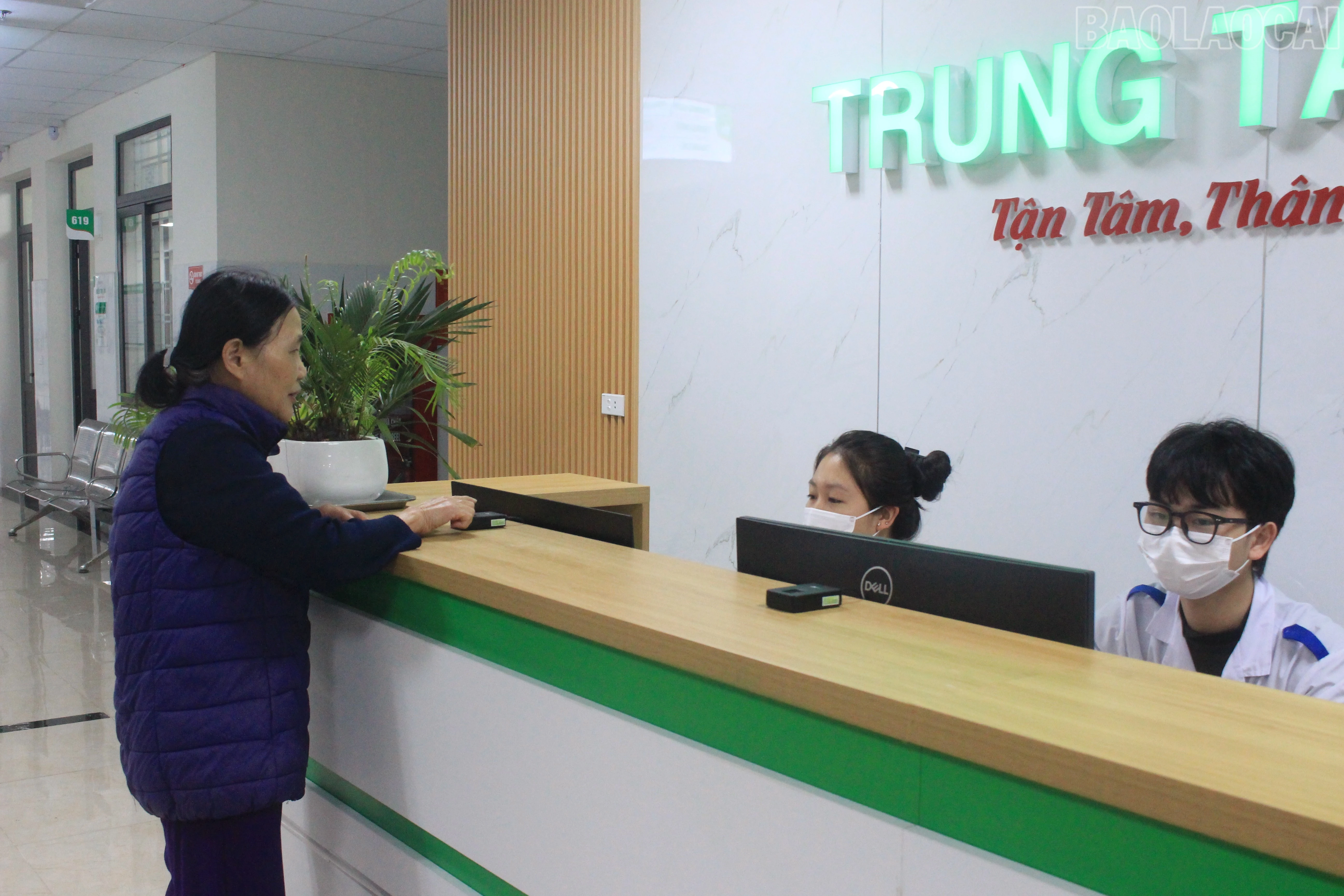 baolaocai-tr_img-6068.jpg