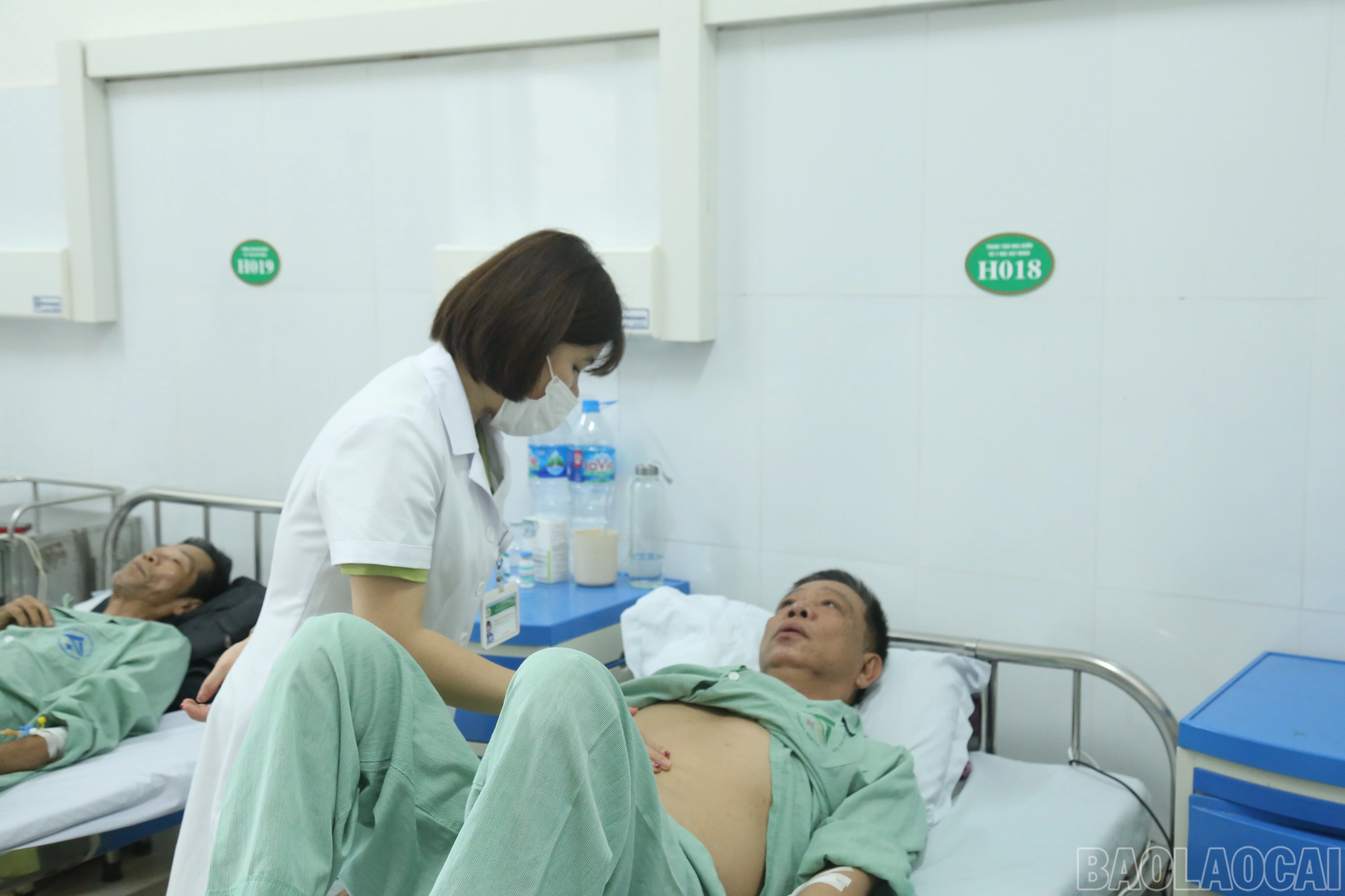 baolaocai-br_img-5304.jpg