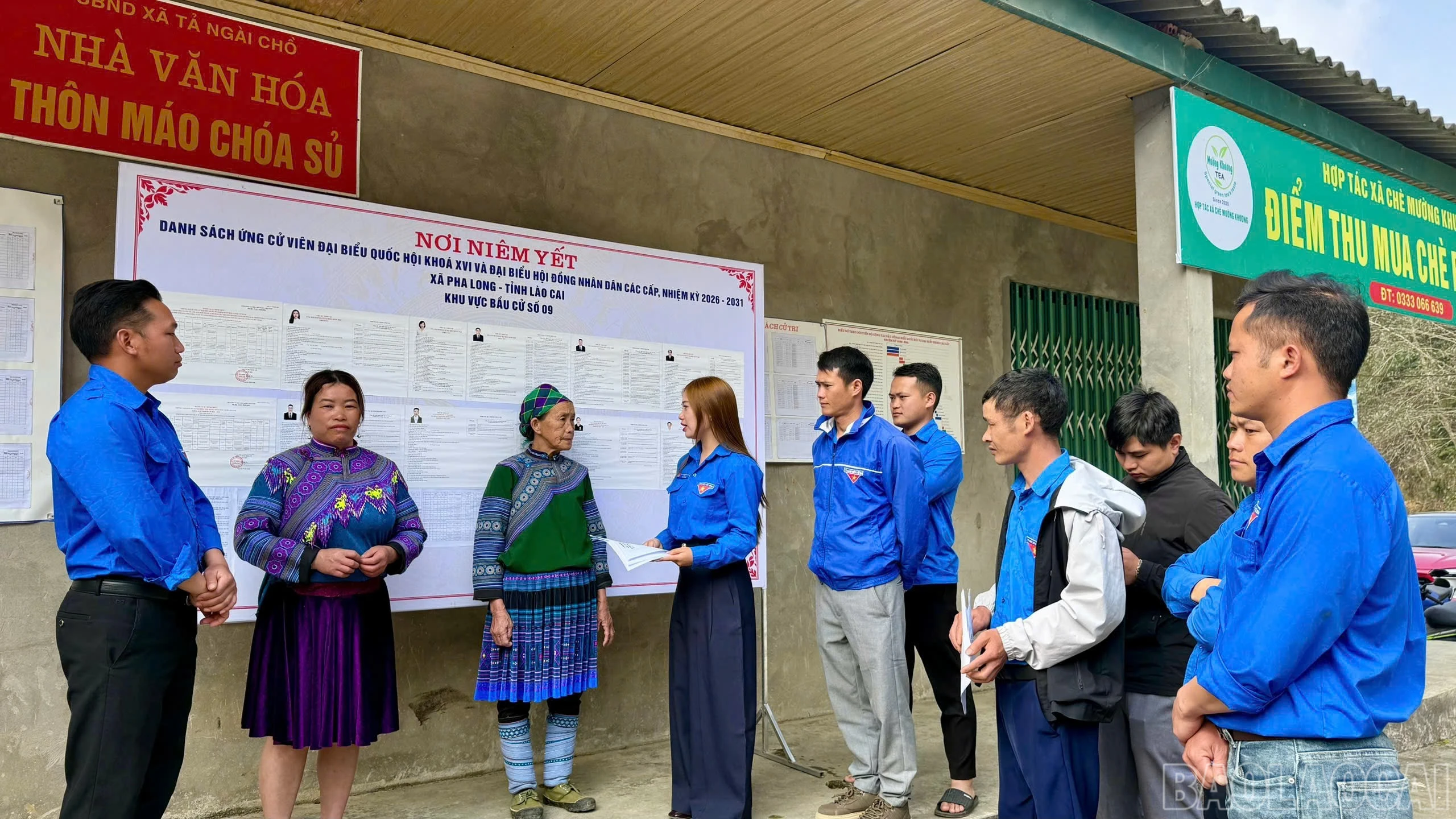 baolaocai-br_z7677237446332-d6dd23b17e5c9fa7654731ce3c348142.jpg