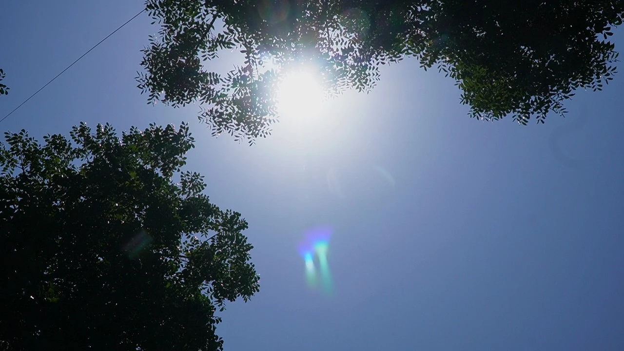 c0308t01.jpg