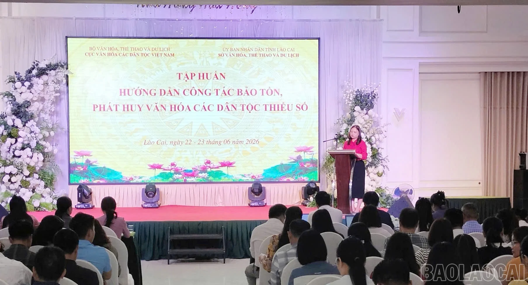 baolaocai-br_z7962629366881-148a308ca159dcd920bba7a9caf484a1.jpg
