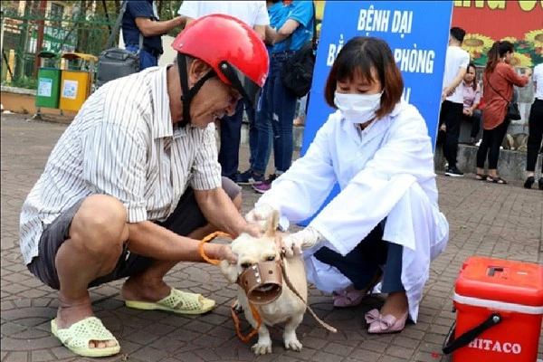 mt4-615.jpg