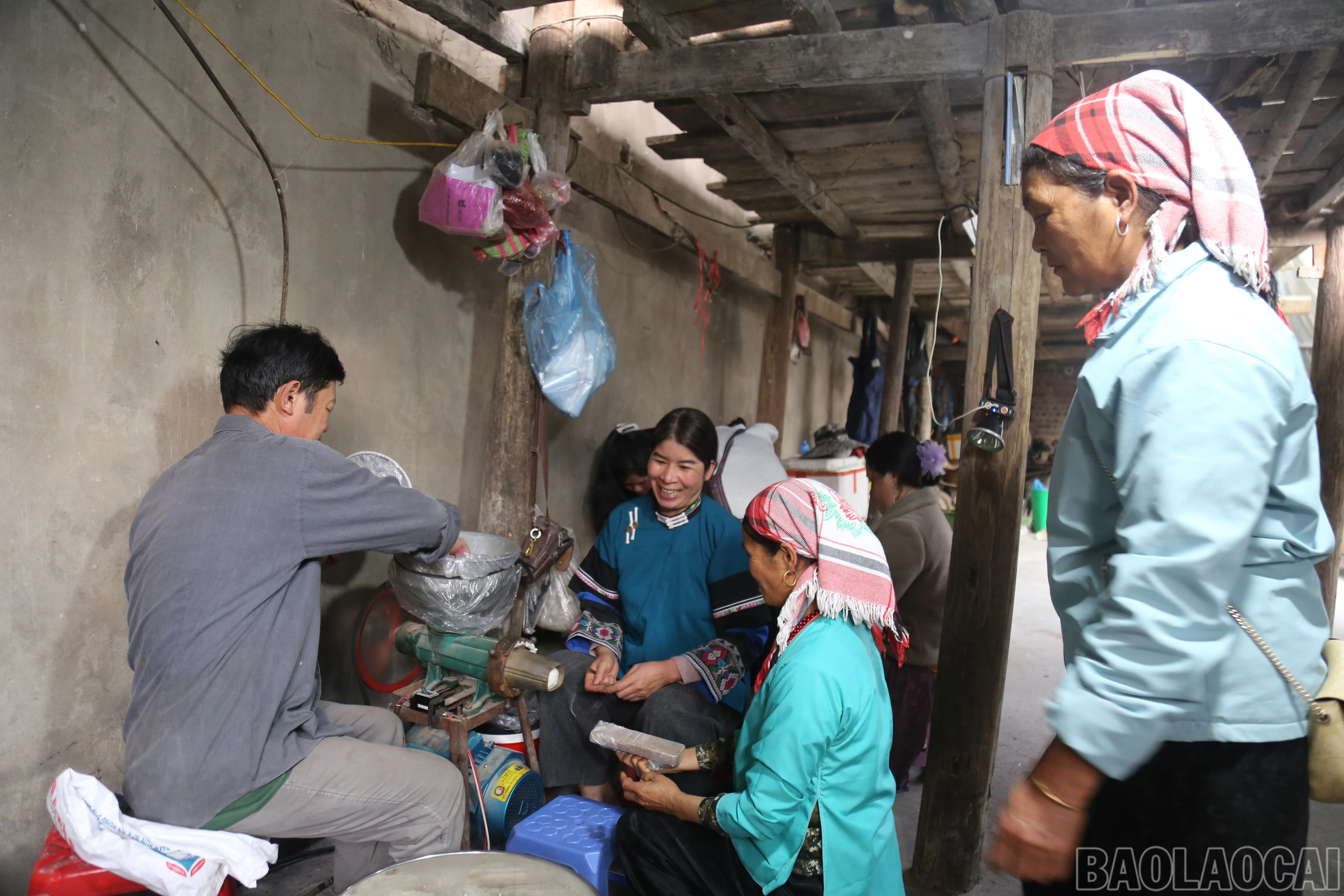 baolaocai-br_img-4603.jpg