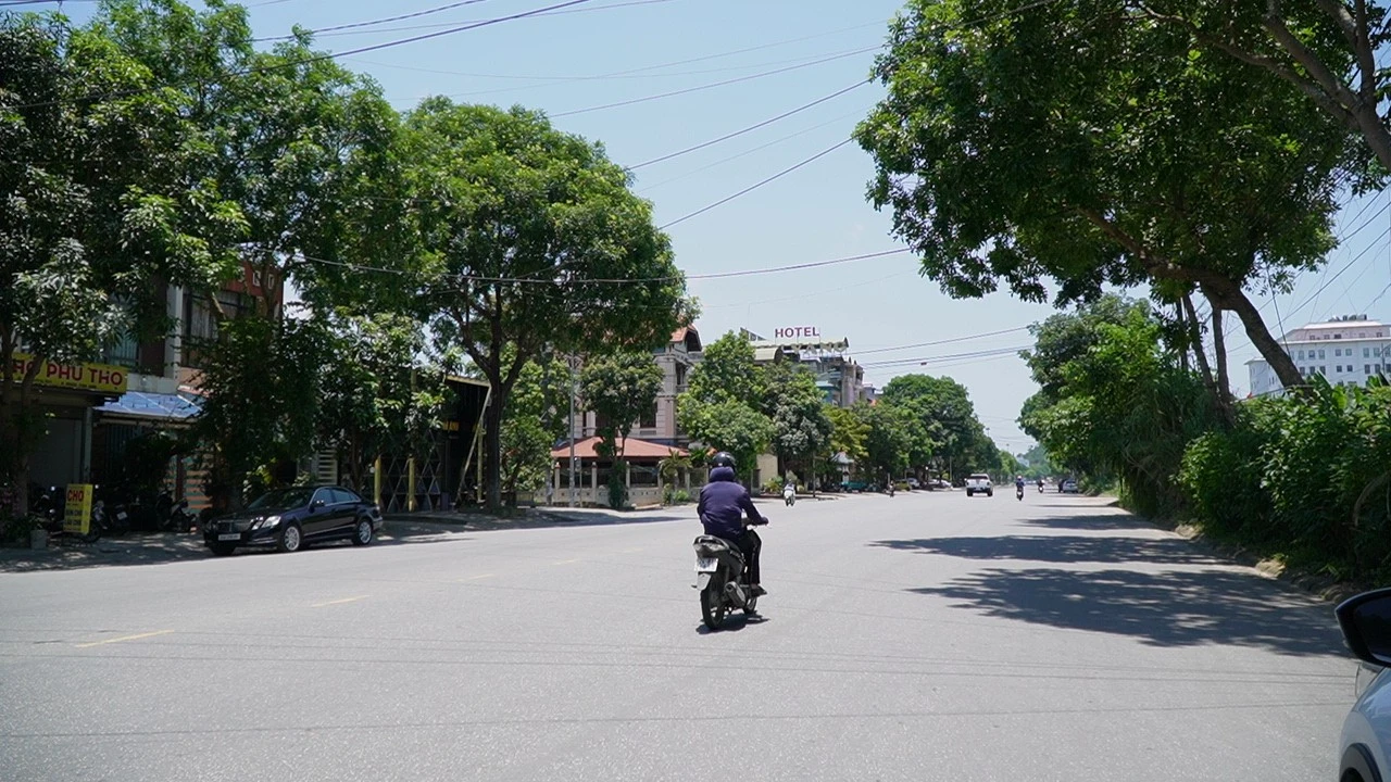 c0310t01.jpg