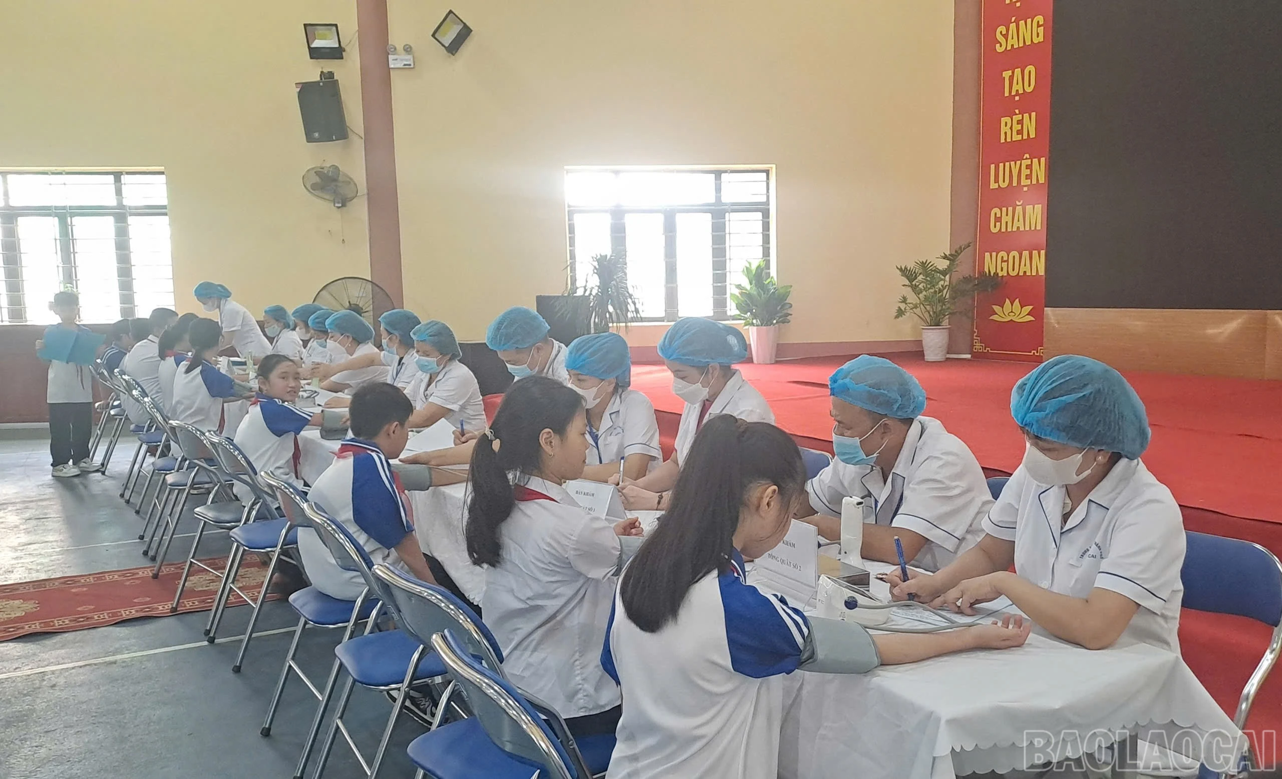 baolaocai-br_1790590167928-1984763244511027260-773878949586061066-cdc0de8aa06671ee588b27d80a8215fa.jpg
